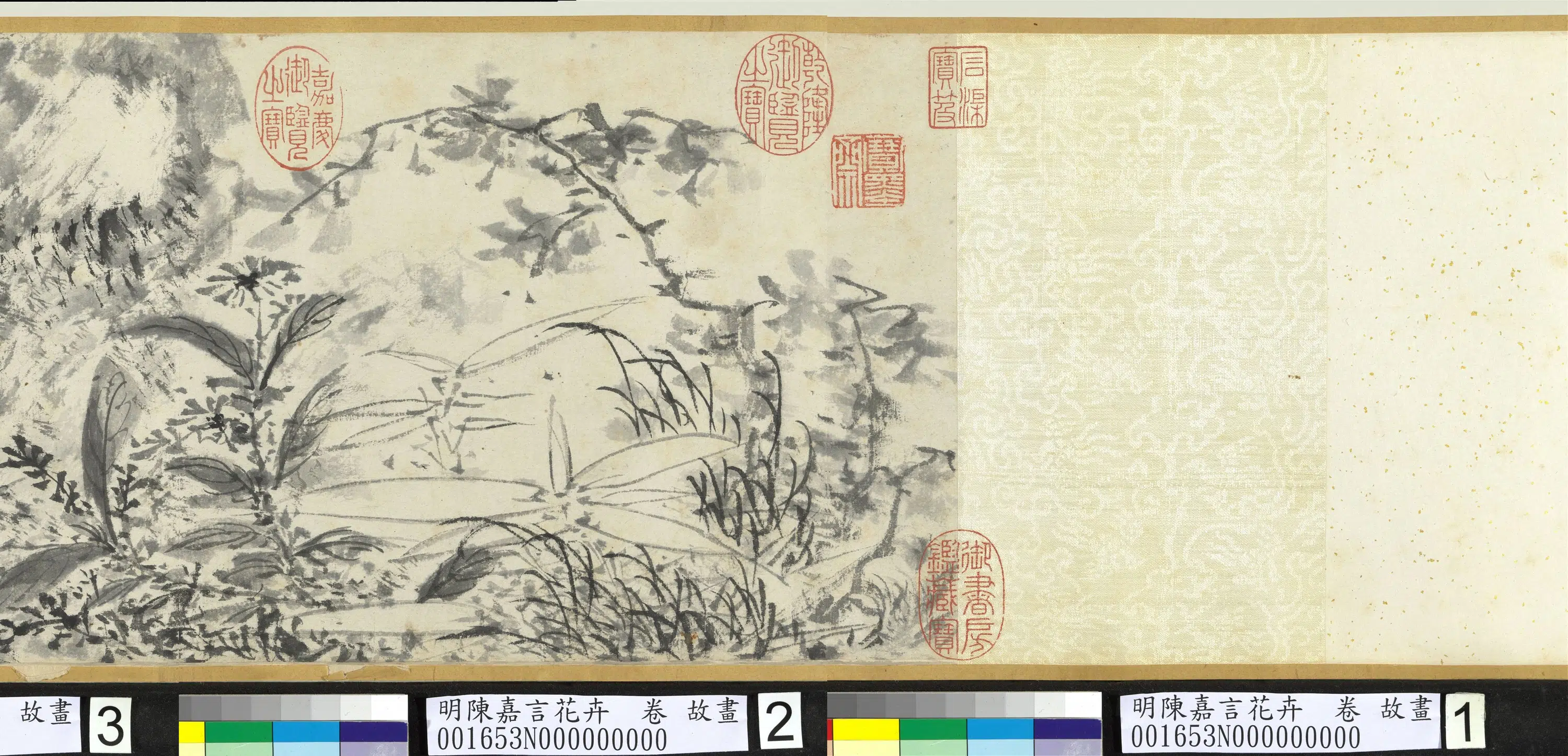 明朝【陈嘉言】《花卉图卷》 第5张 明朝【陈嘉言】《花卉图卷》 第5张