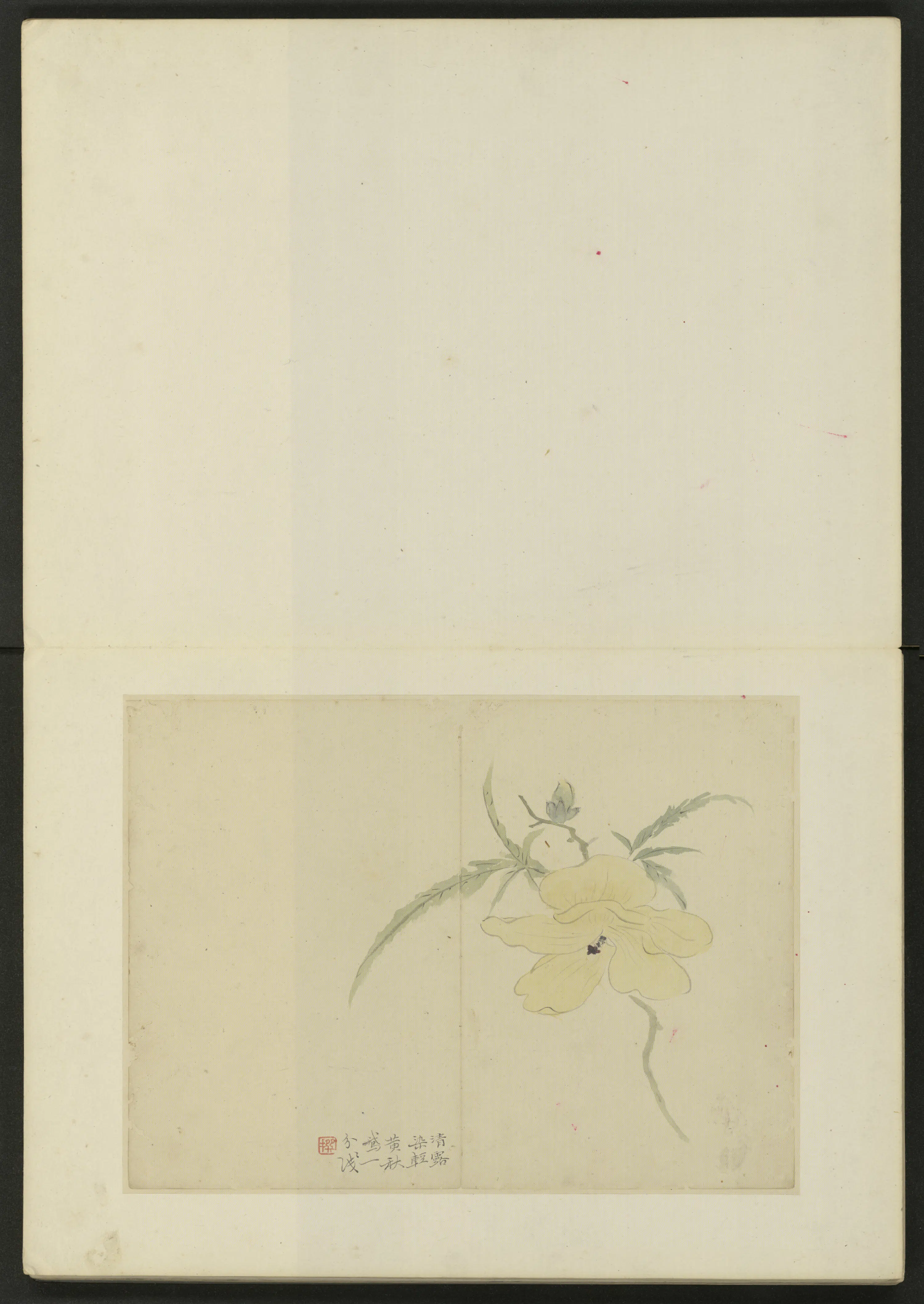 清代【陈撰】《花卉册（10开）》 第4张