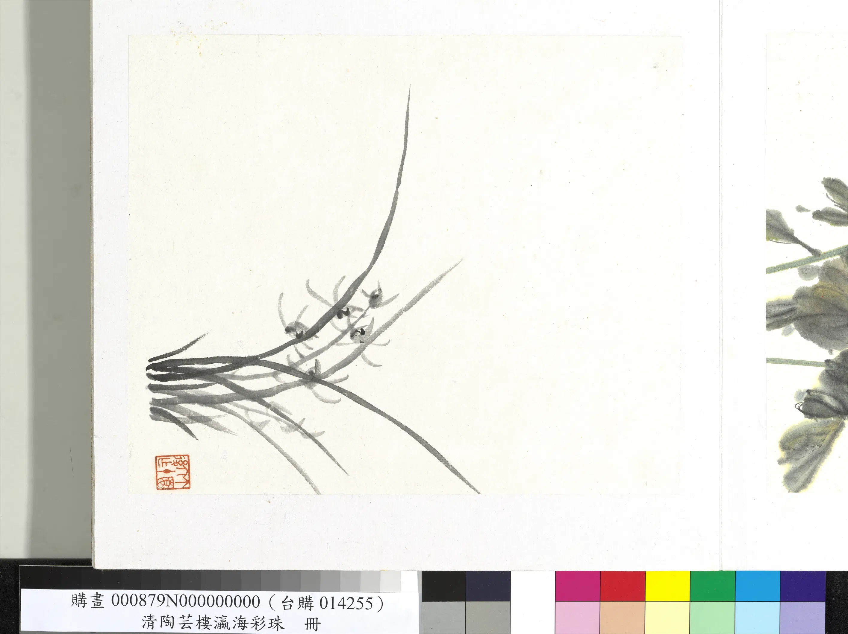 近现代【王展如】《陶芸楼等瀛海彩珠册》