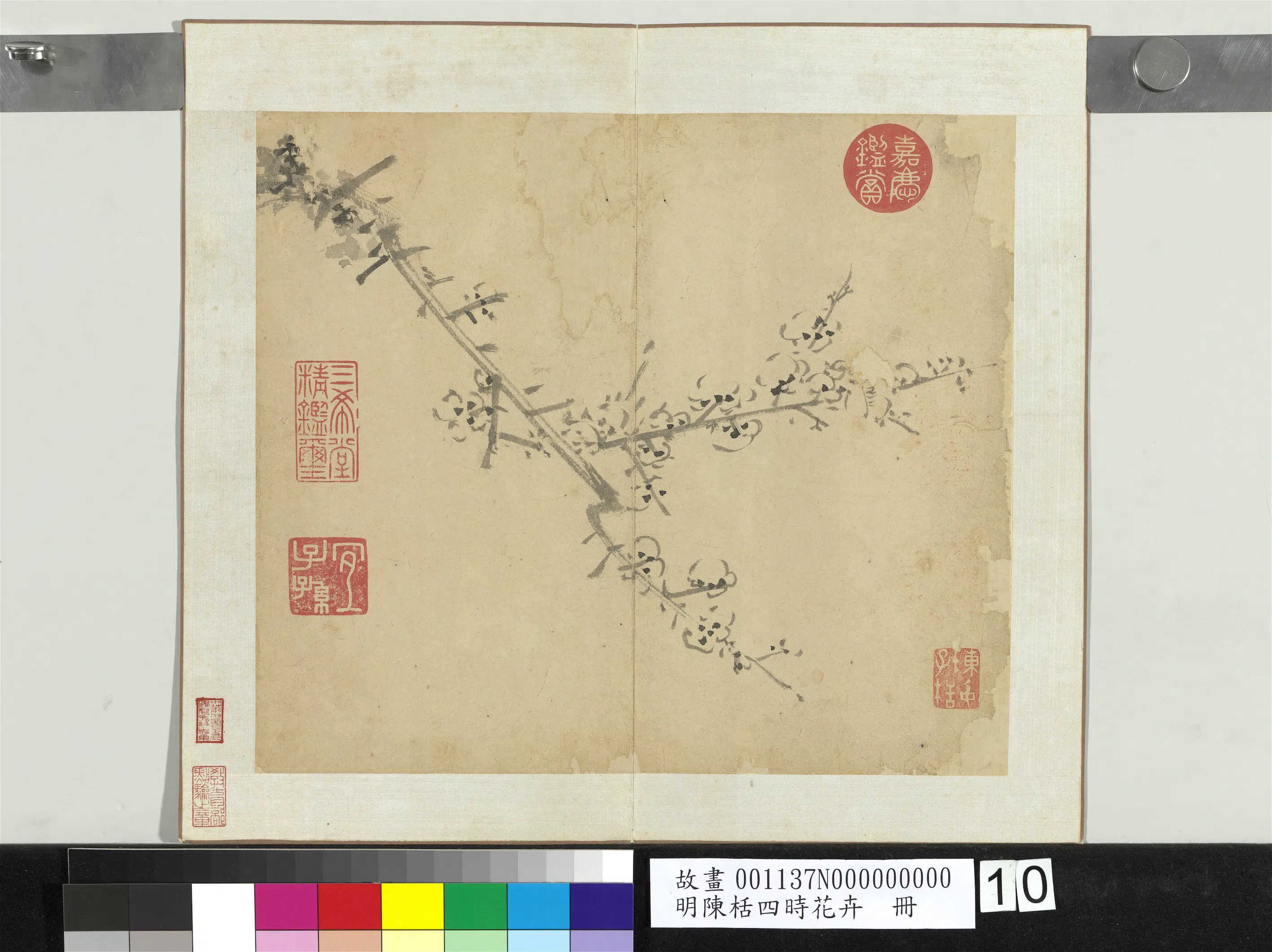 明朝【陈栝】《四时花卉册-梅》