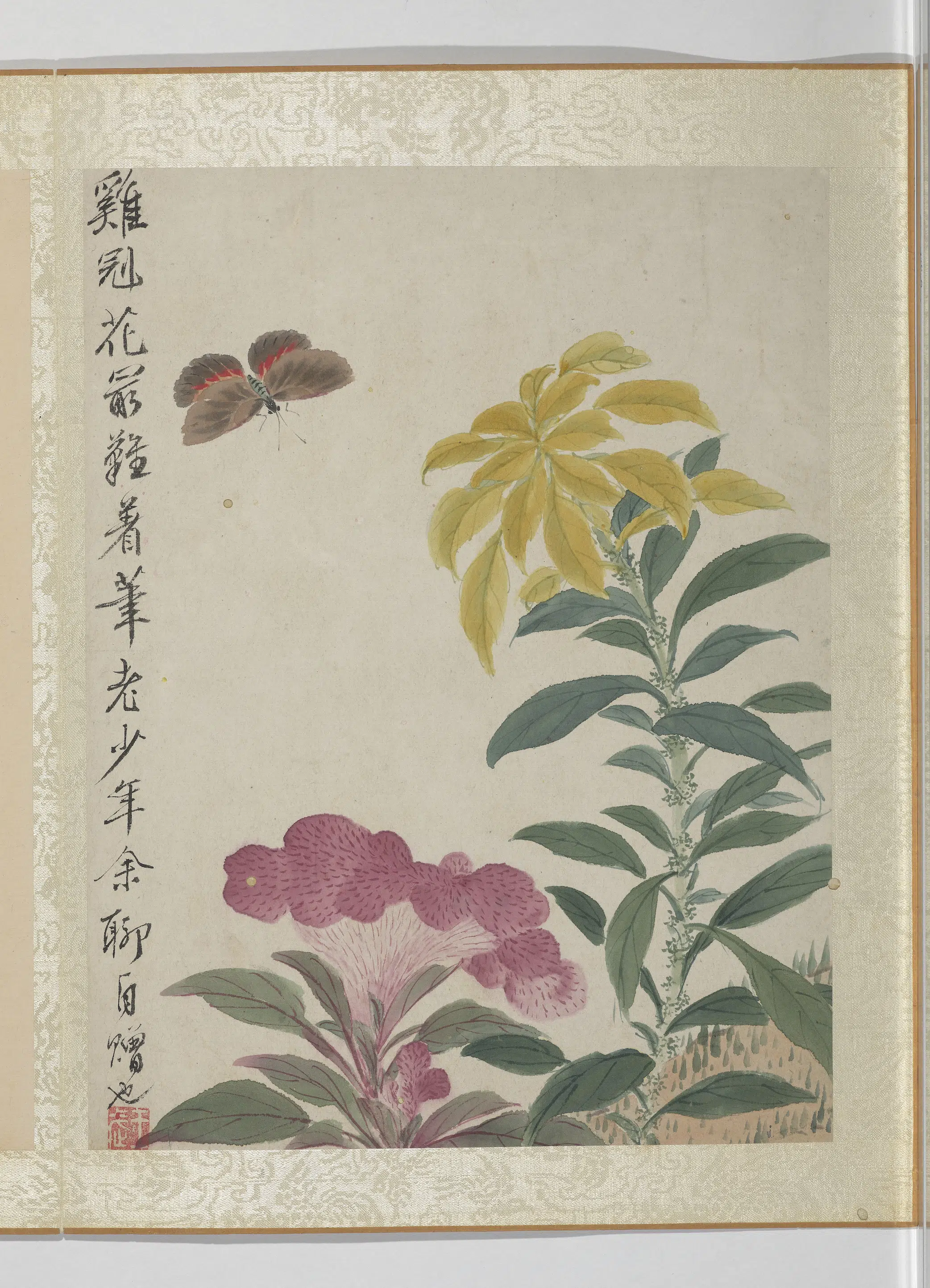 清代【王武】《花卉册-鸡冠花》
