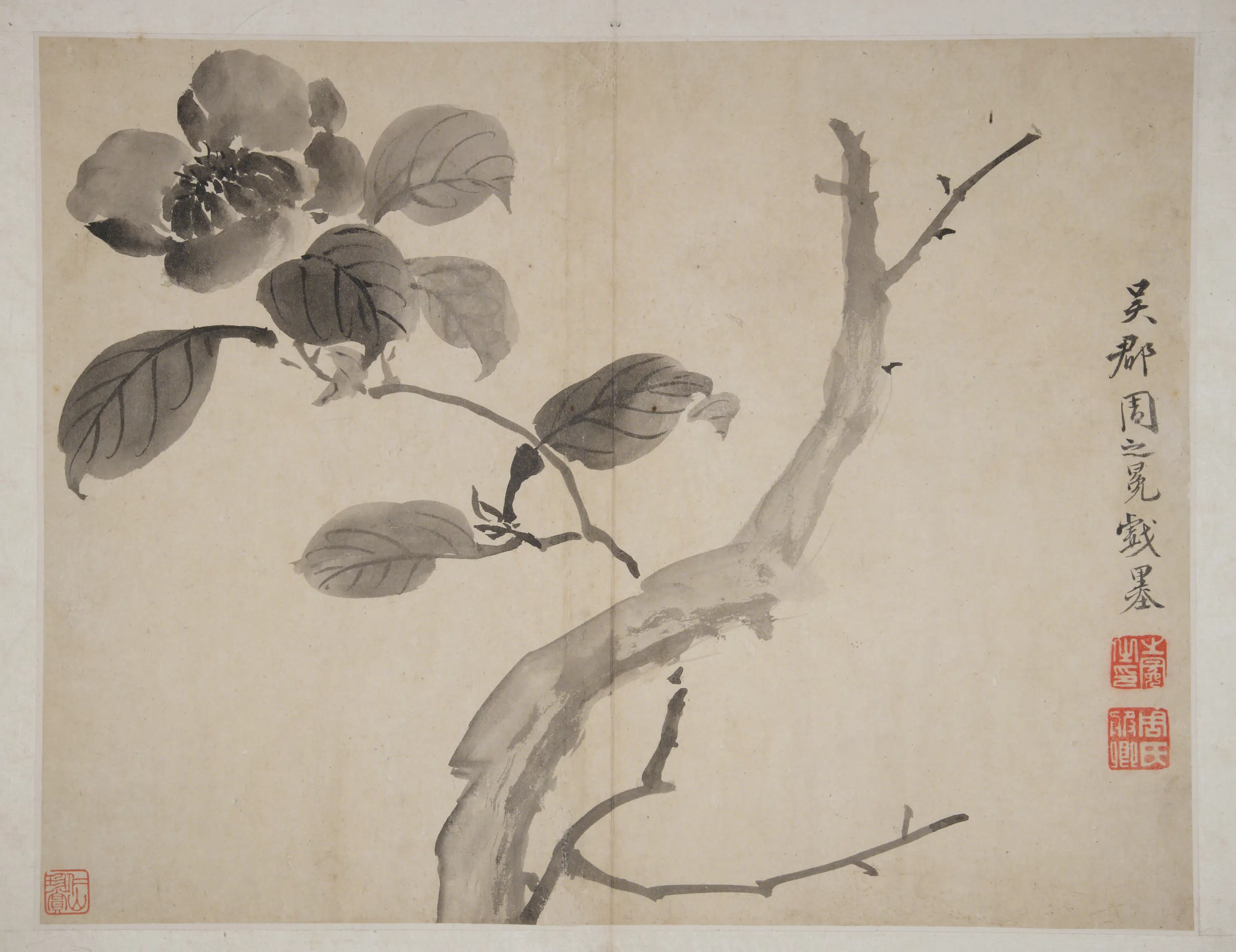明朝【周之冕】《明清诸家集锦册-花卉册页》