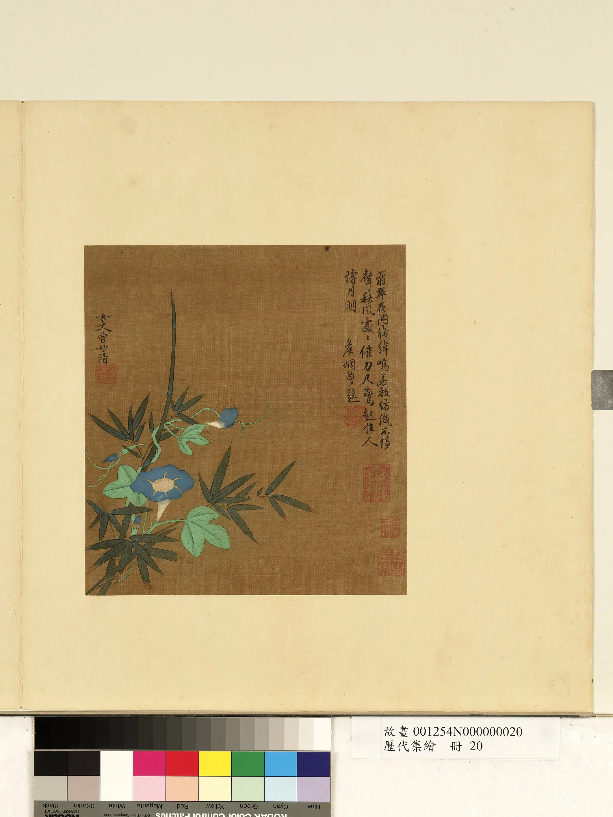 元代【曹妙清】《历代集绘册-牵牛花》