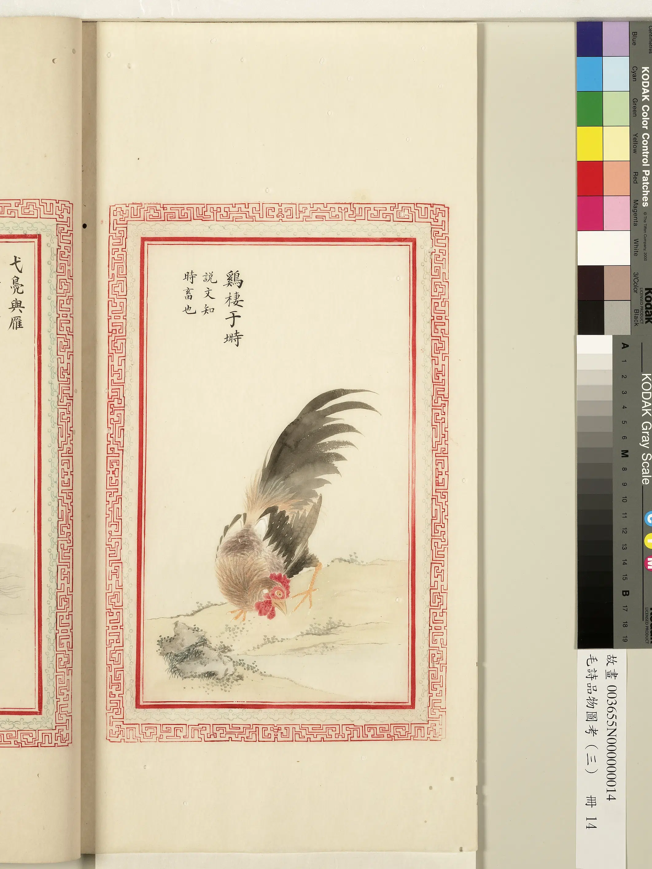 清代《毛诗品物图考(三)册-1》 第52张 清代《毛诗品物图考(三)册-1》 第52张