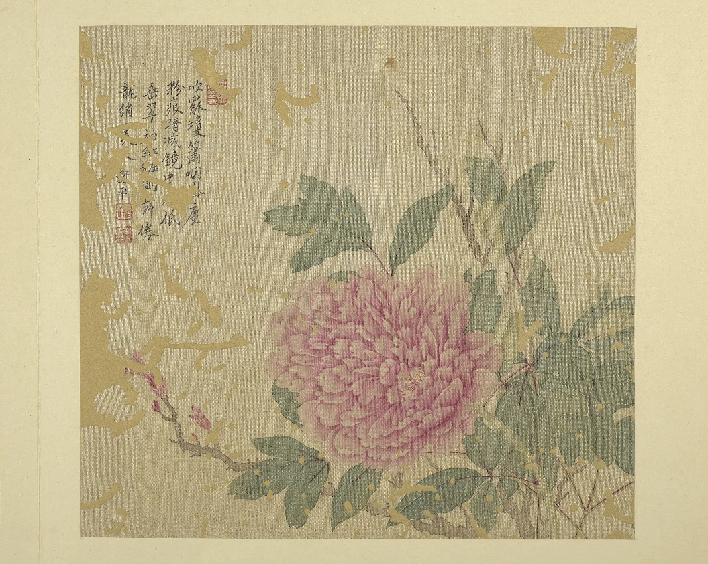 清代【恽寿平】《画花卉册-1》 第5张