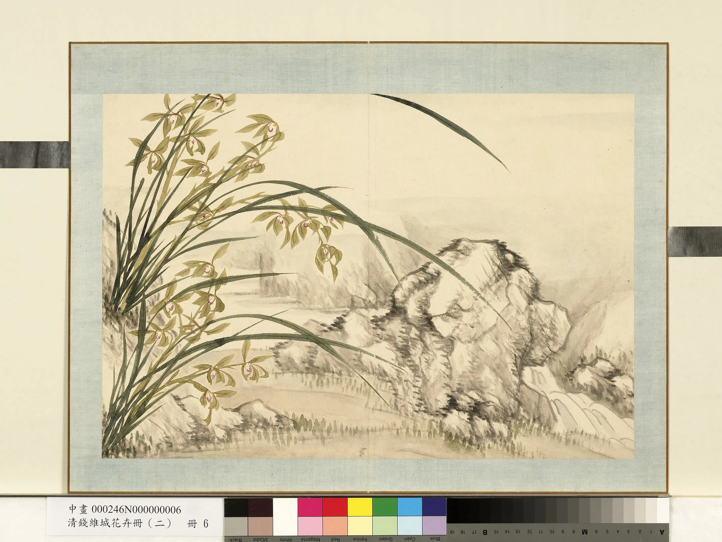 清代【钱维城】《花卉册（二）册-画兰之六》
