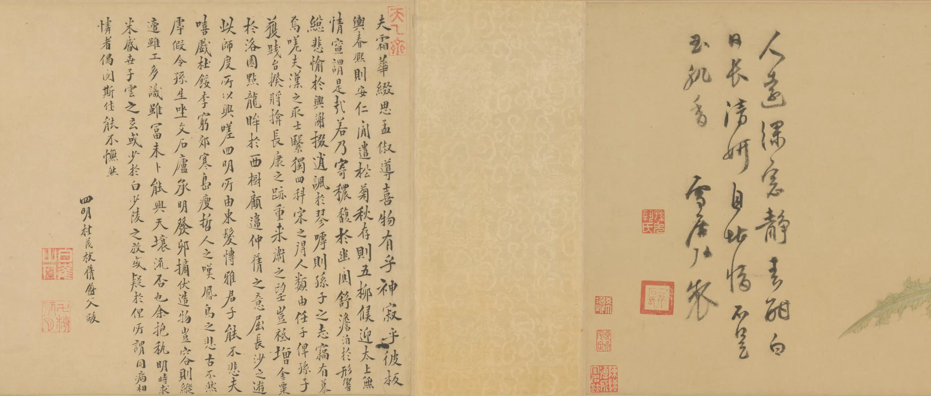 明朝【孙克弘】《百花图卷》 第13张