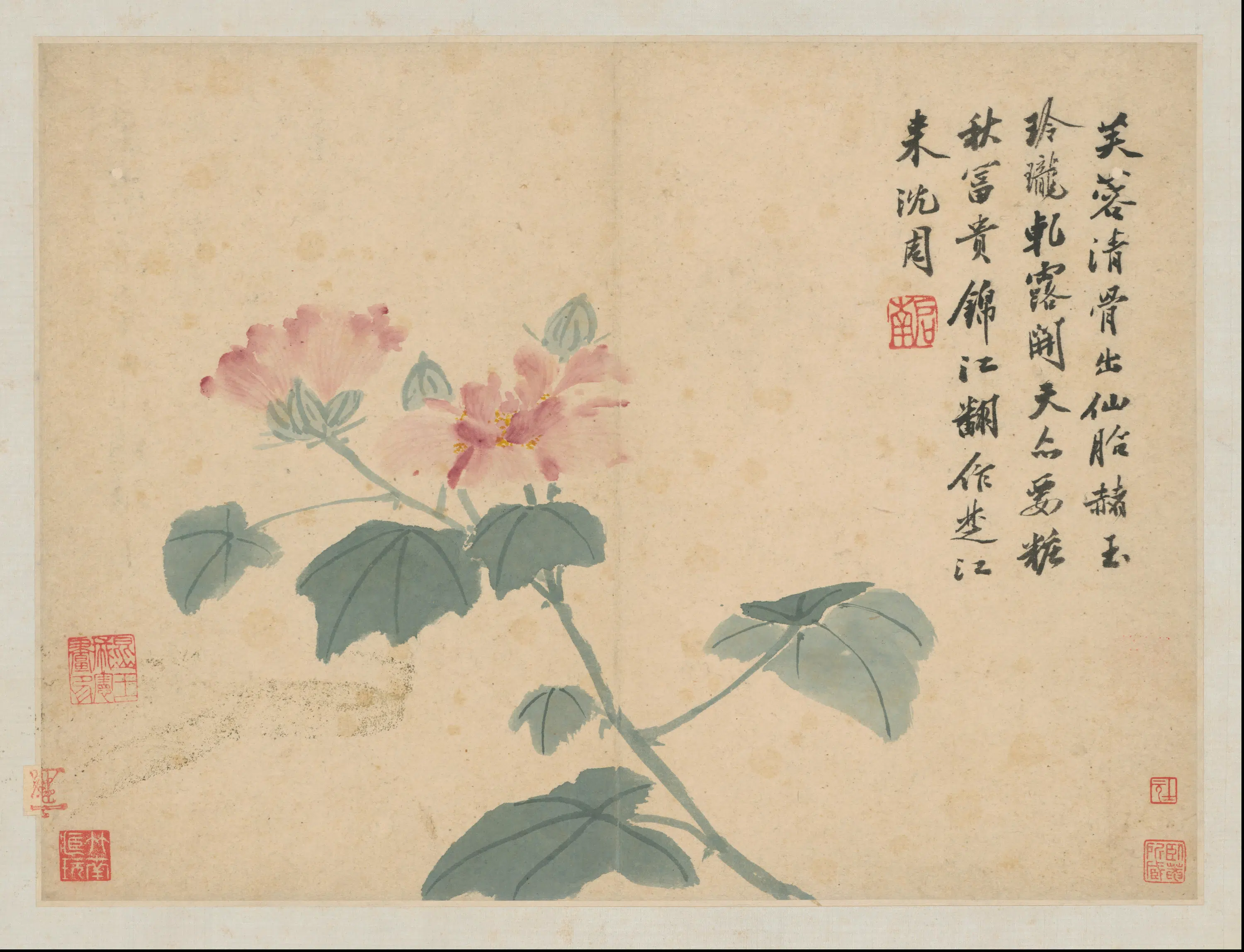 明代【沈周】《石田卧游图册-21开》 第15张