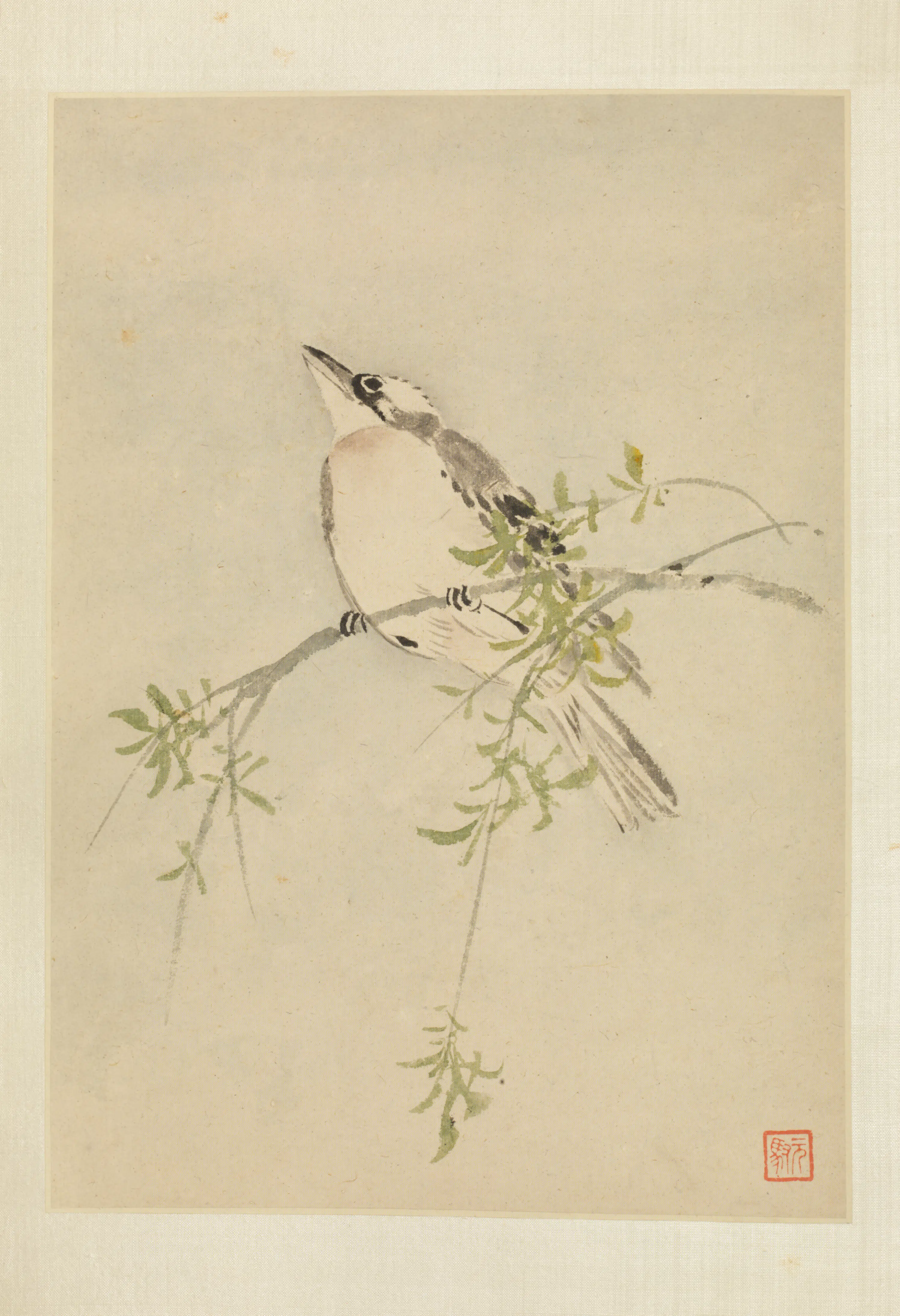 清代【马元驭】《花鸟册》 第3张