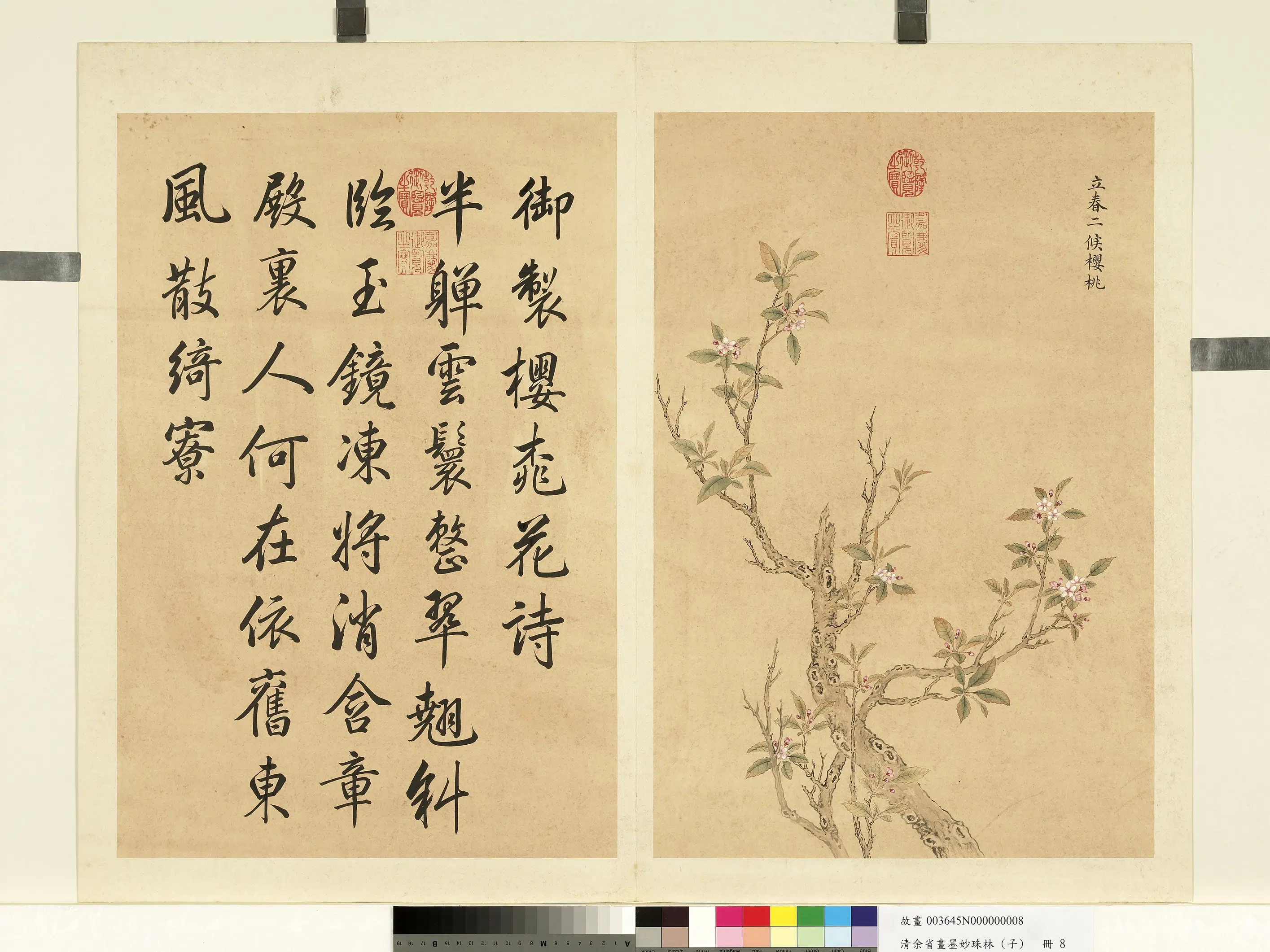 清代【余省】《画墨妙珠林（子）册-立春二候樱桃》