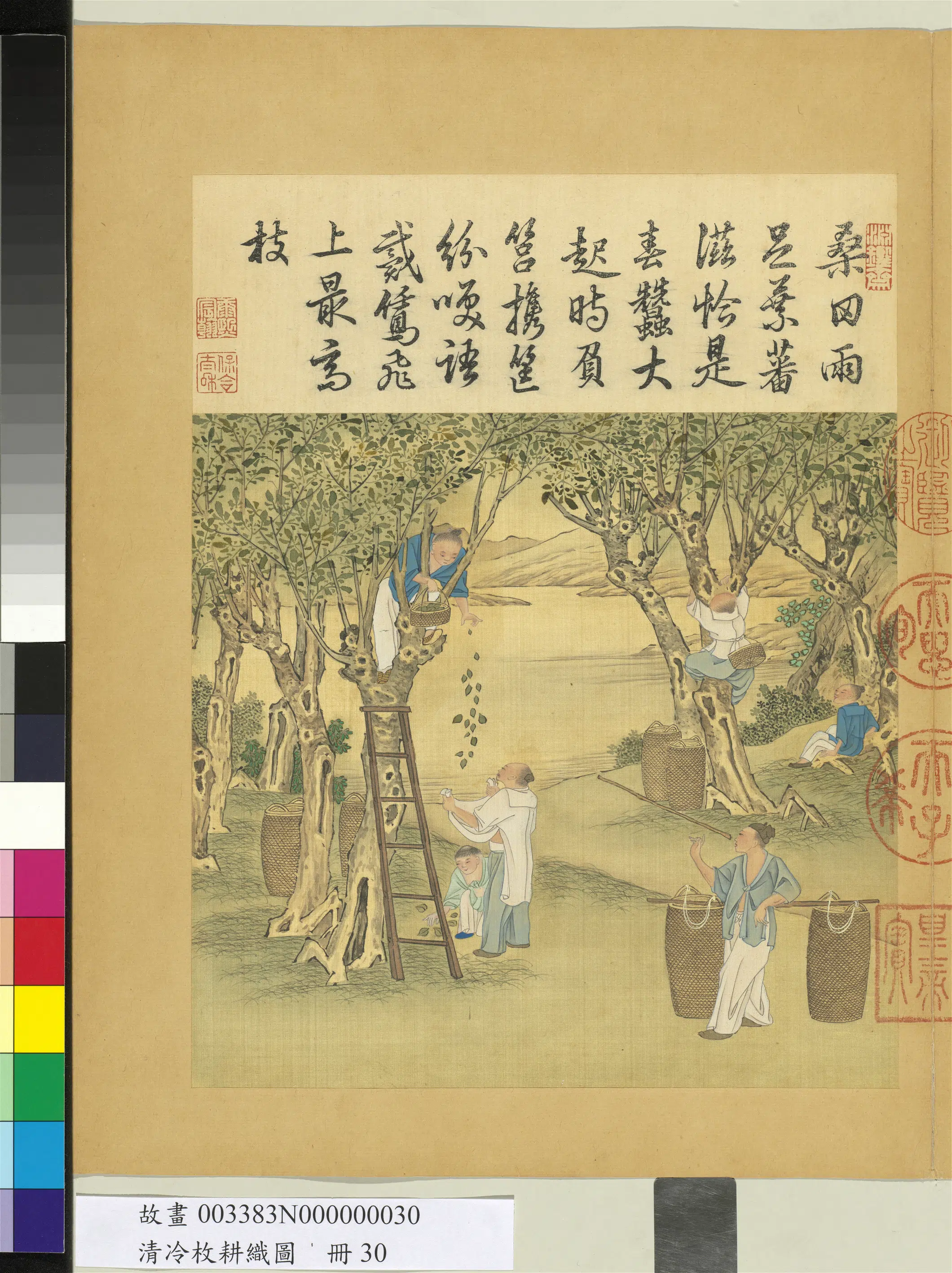 清代【冷枚】《耕织图册-采桑》