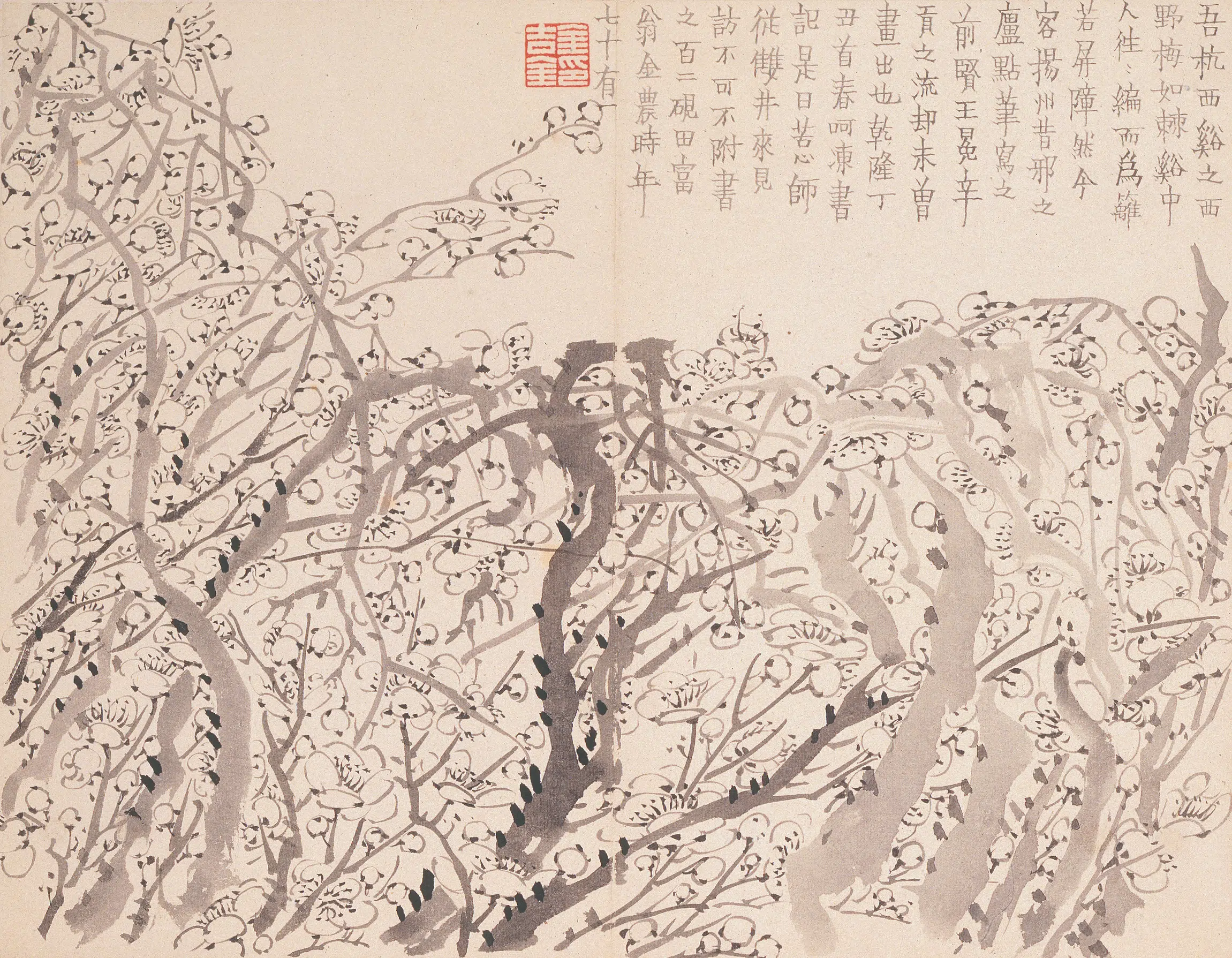 清代【金农】《墨梅图册》 第4张