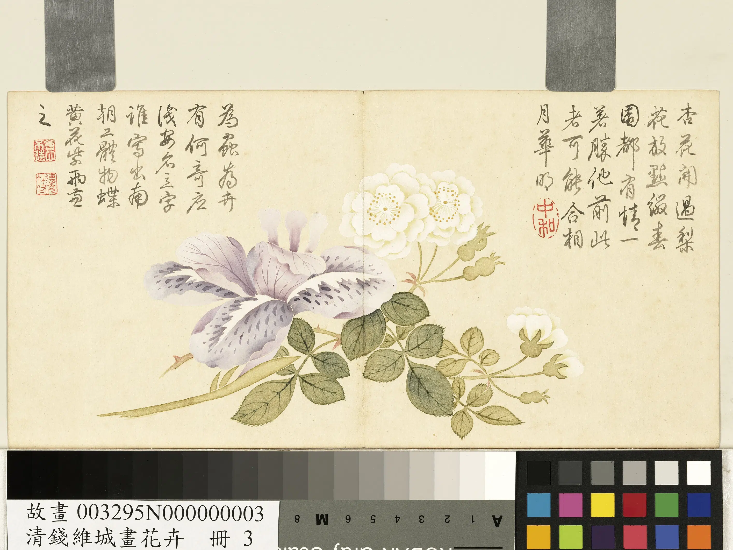 清代【钱维城】《画花卉册-1》 第4张 清代【钱维城】《画花卉册-1》 第4张