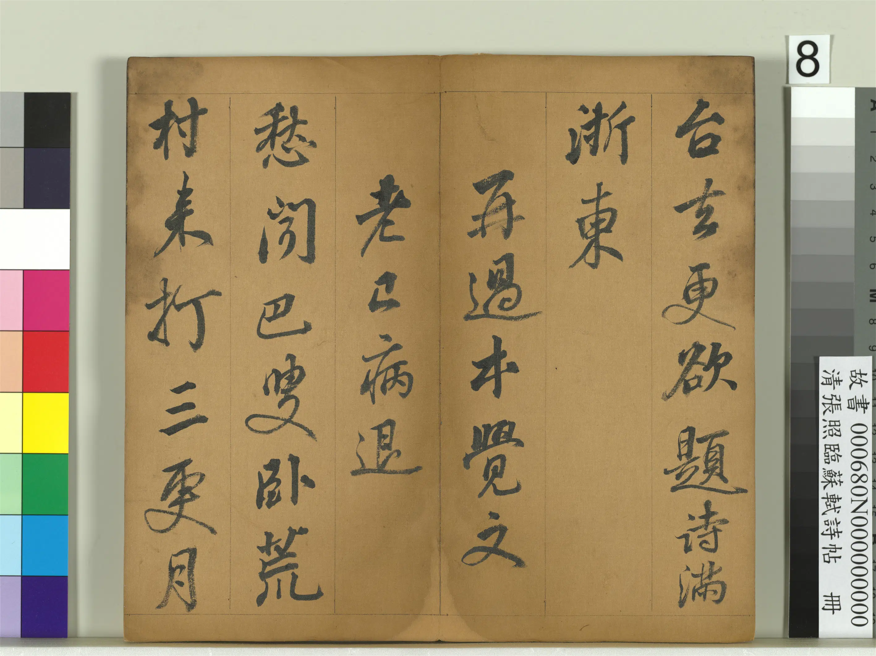 清代【张照】《临苏轼诗帖册》 第19张