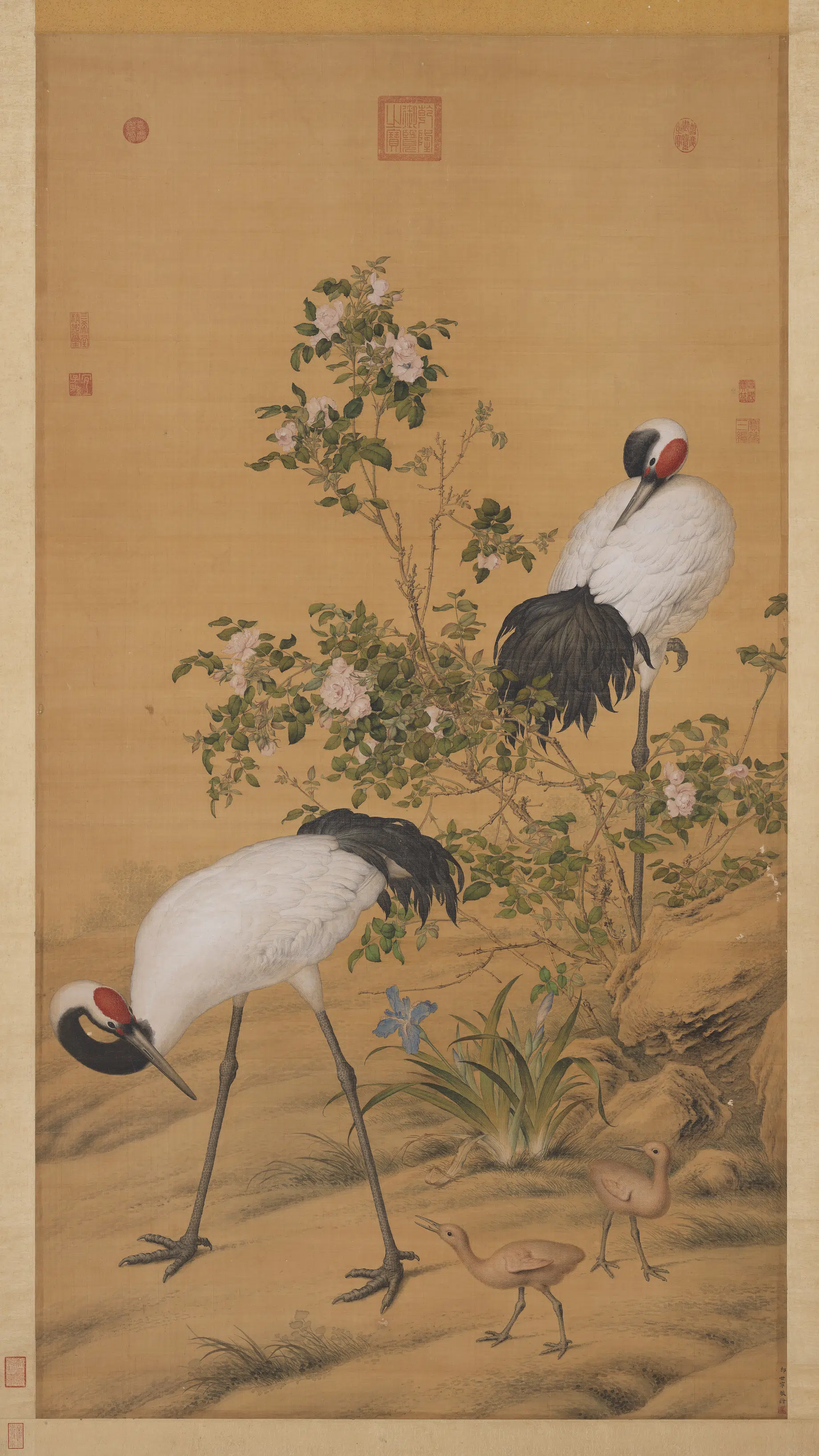 清代【郎世宁】《画花阴双鹤图轴》