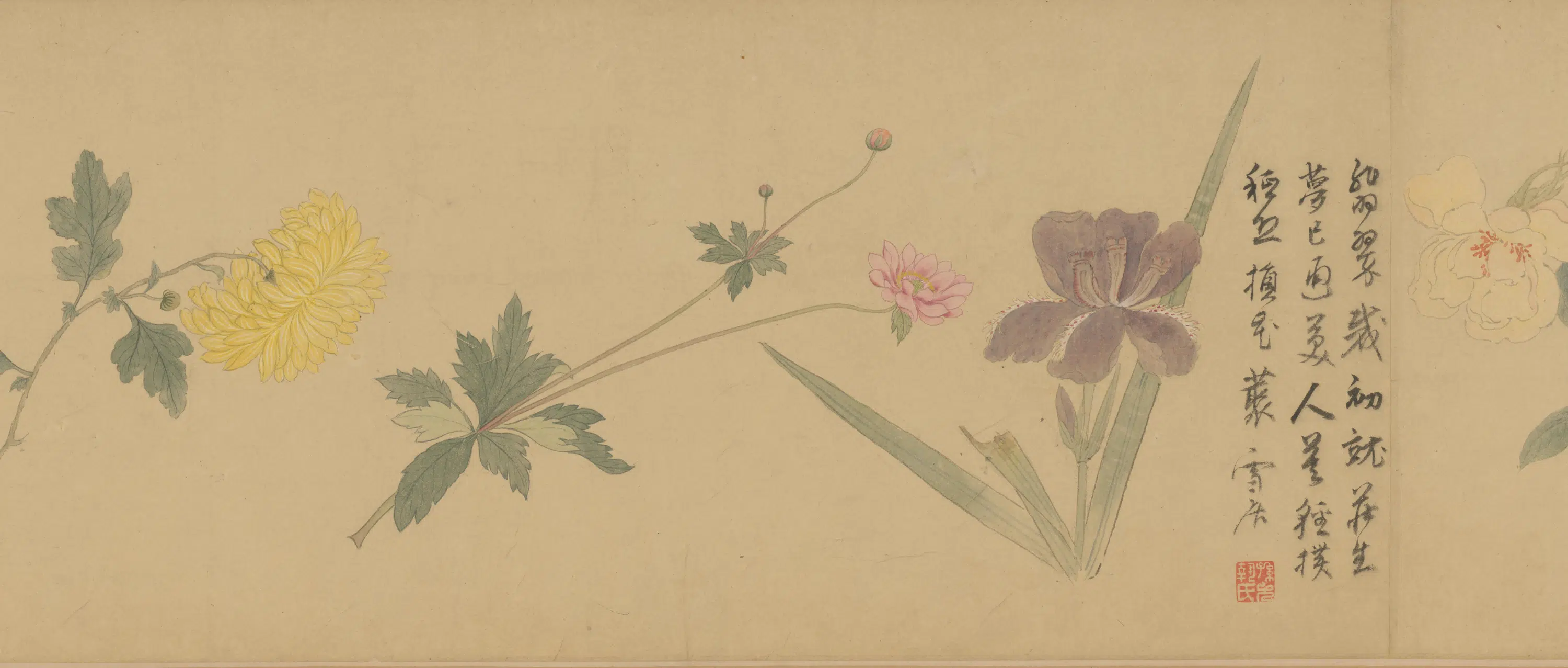 明朝【孙克弘】《百花图卷》 第17张