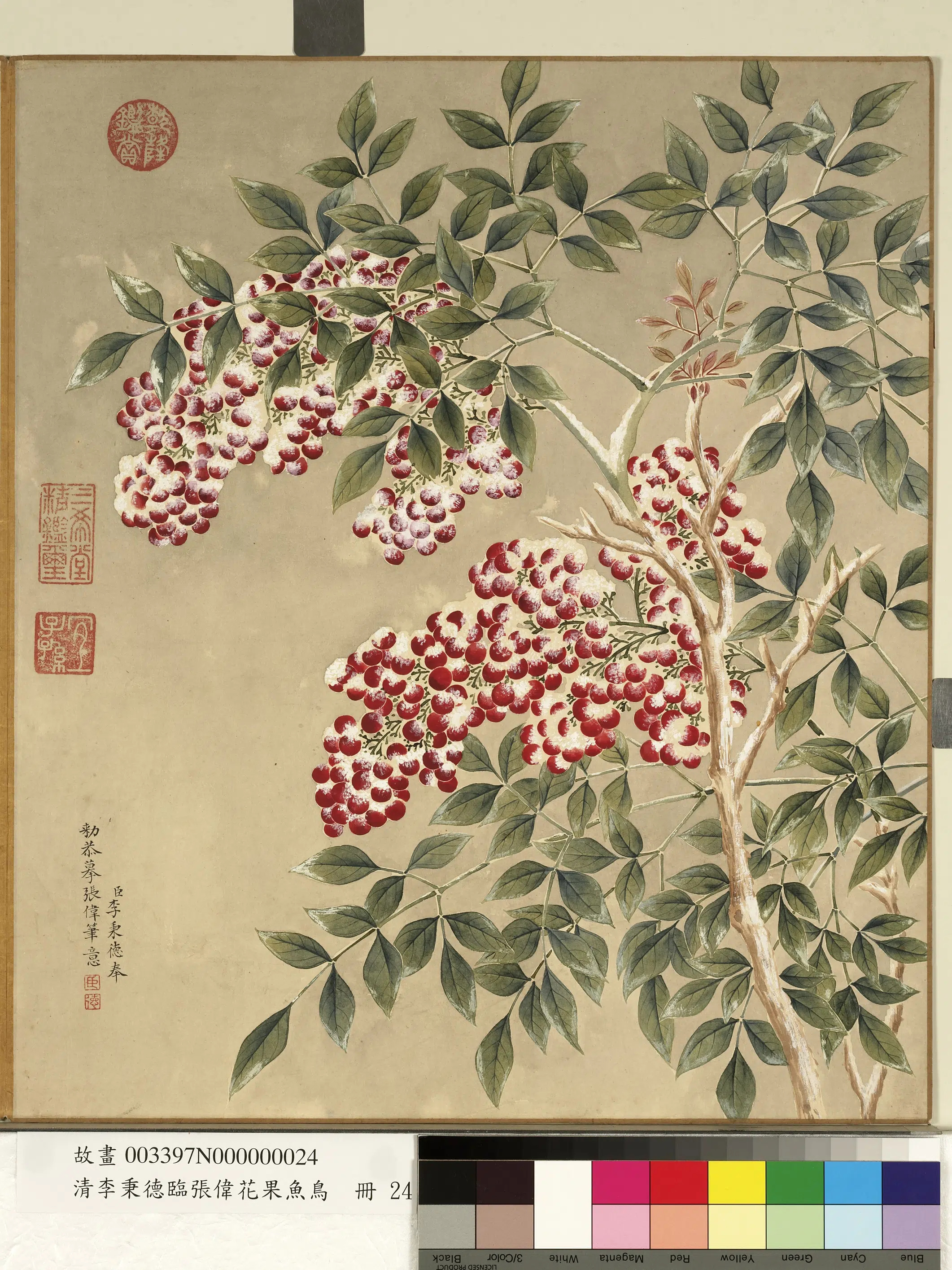 清代【李秉德】《临张伟花果鱼鸟册》 第4张