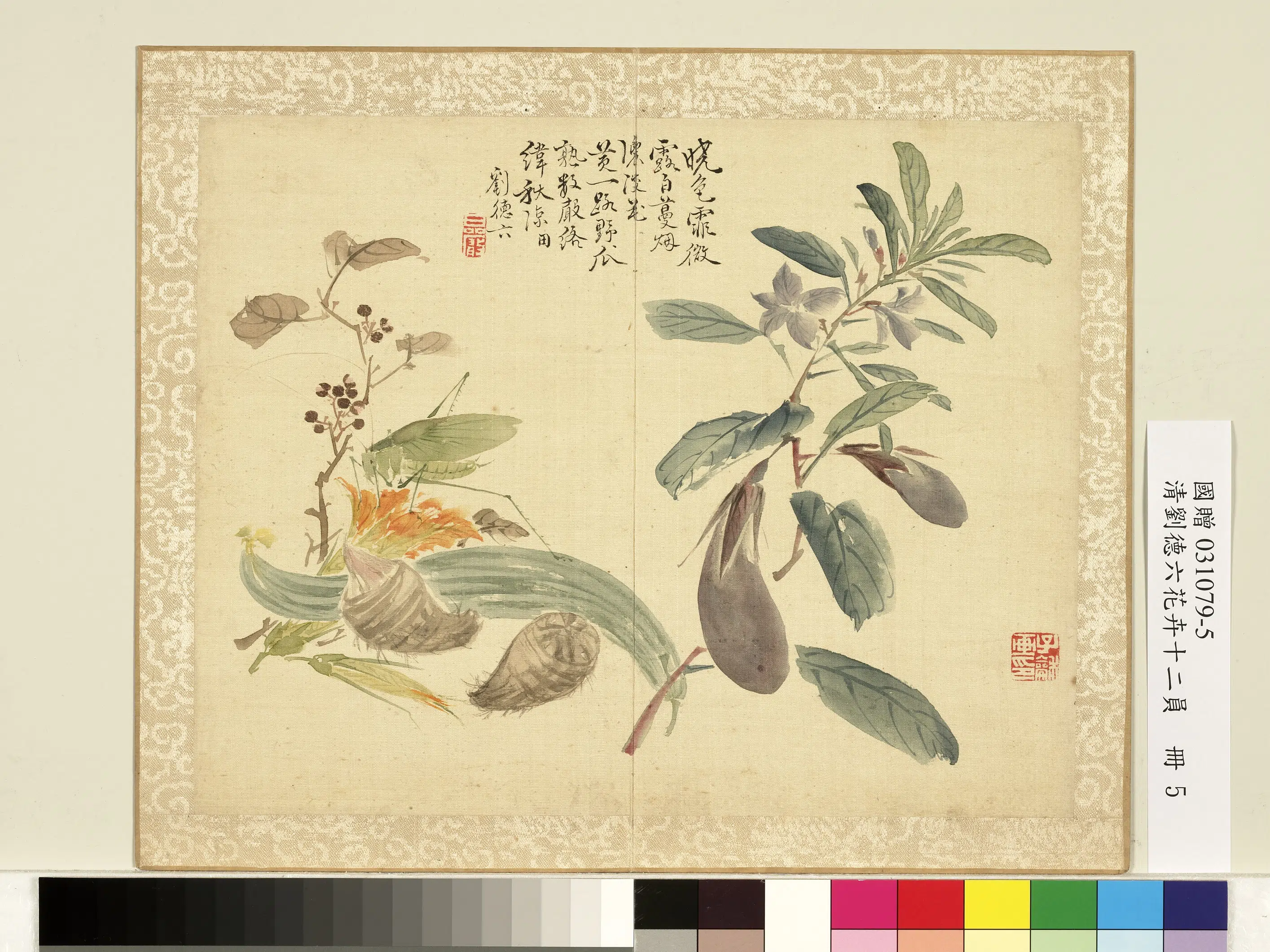 清代【刘德六】《花卉十二员册》 第10张