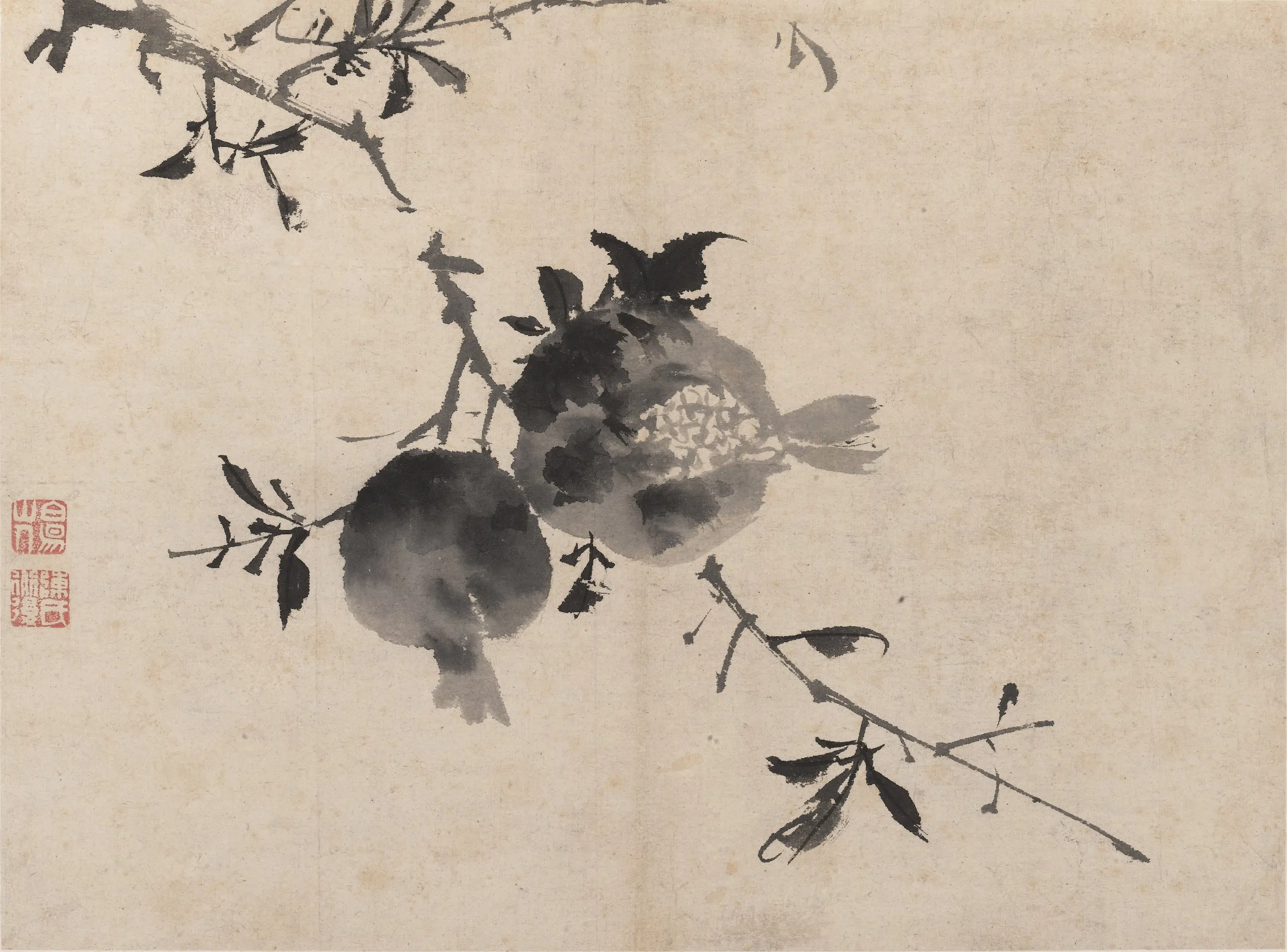 明朝【陈淳（道复）】《墨花图册》 第11张