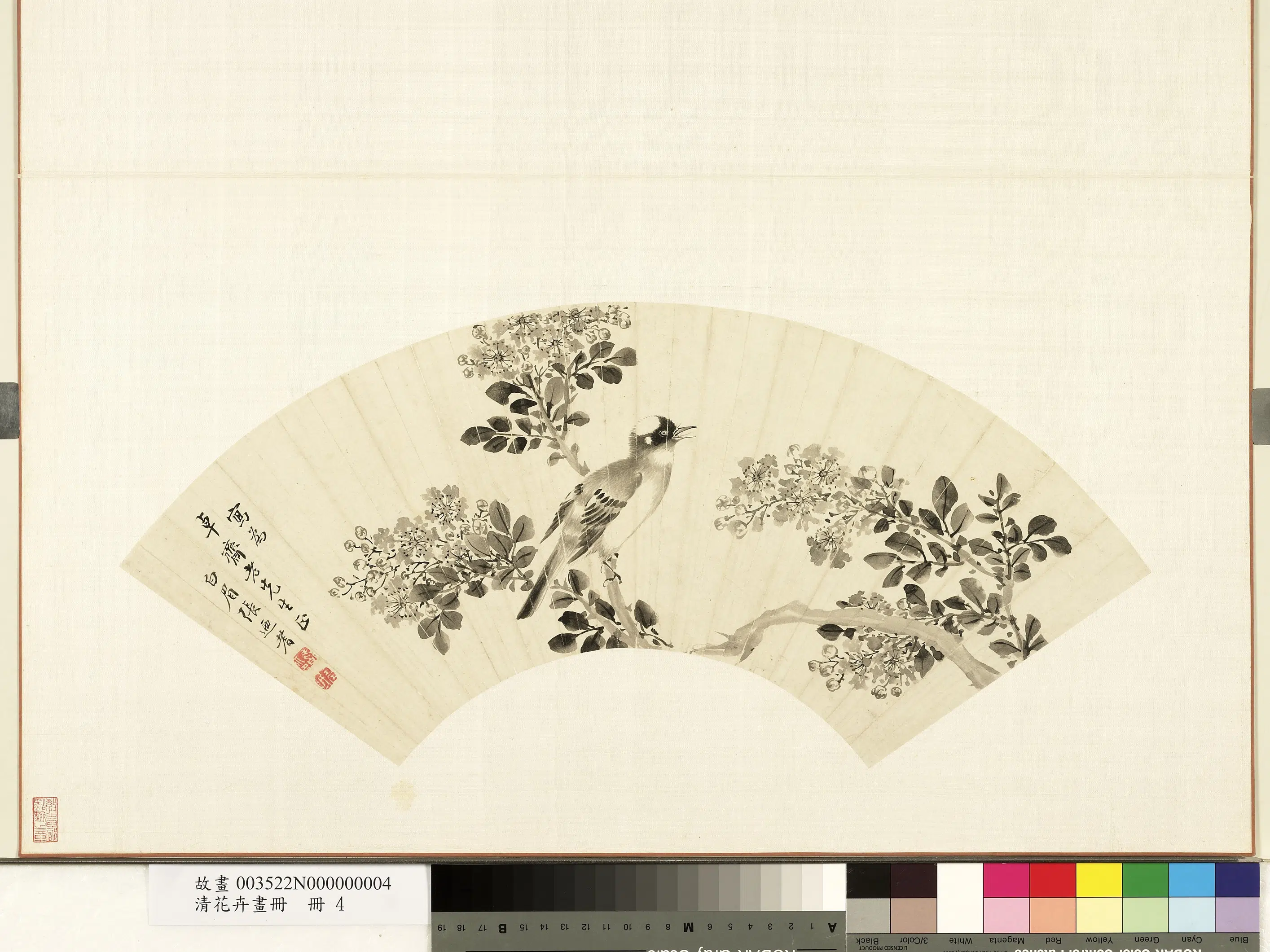 《花卉画册-8》