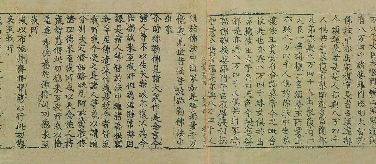 金朝【佚名】《佛说弥勒下生成佛经佛说弥勒来时经》 第9张
