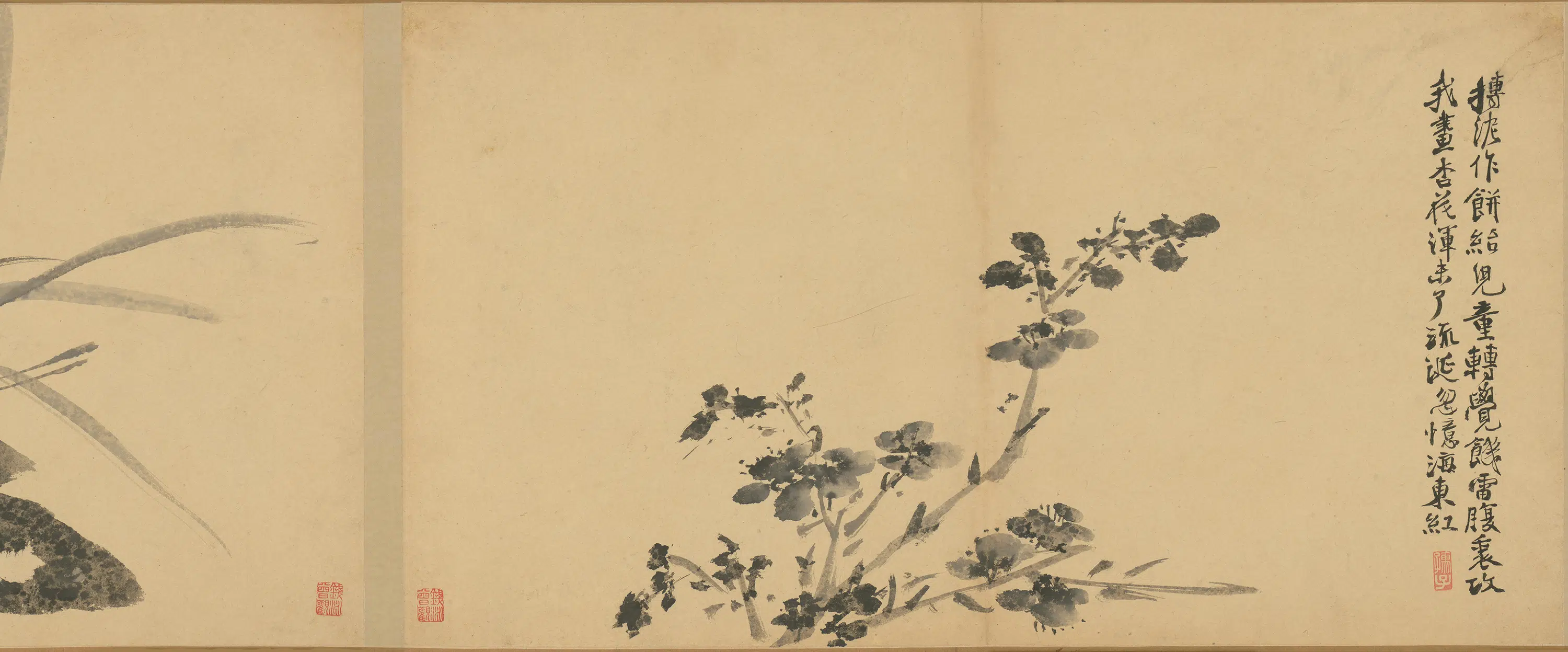 明朝【徐渭】《墨花卷》 第8张