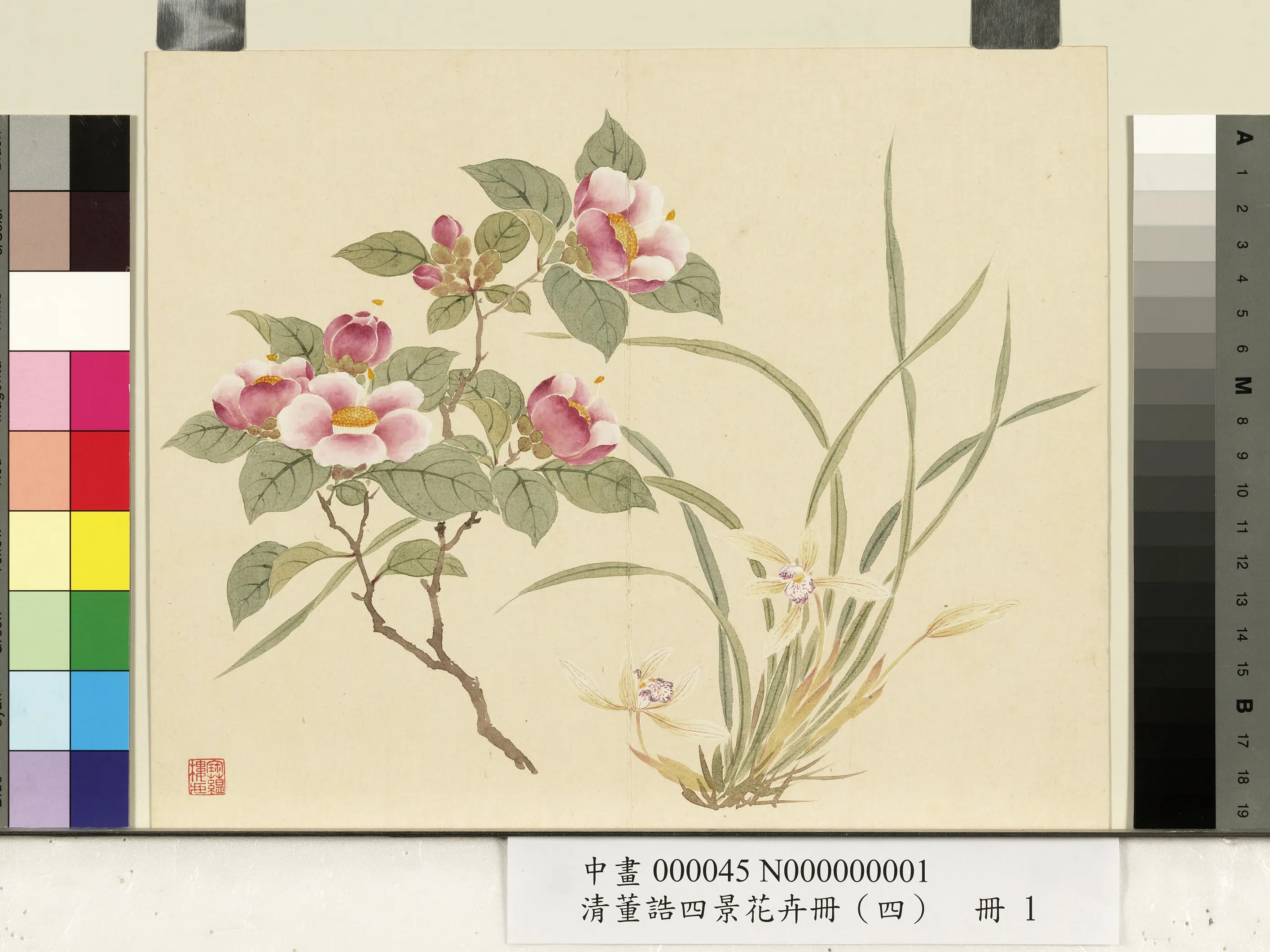 清代【董诰】《四景花卉(四)册-冬景花卉之一》 第1张 清代【董诰】《四景花卉(四)册-冬景花卉之一》 第1张