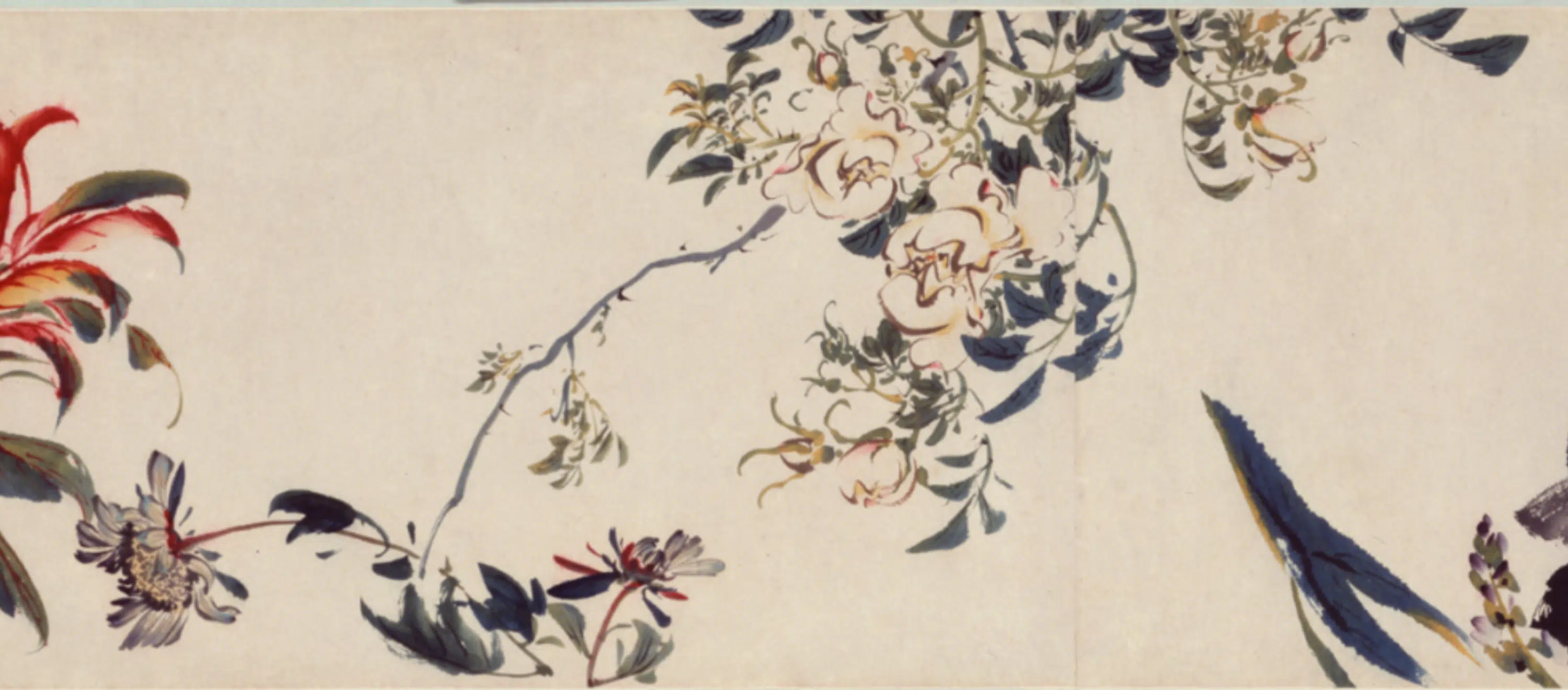 清代【袁江】《花果图卷》 第5张 清代【袁江】《花果图卷》 第5张