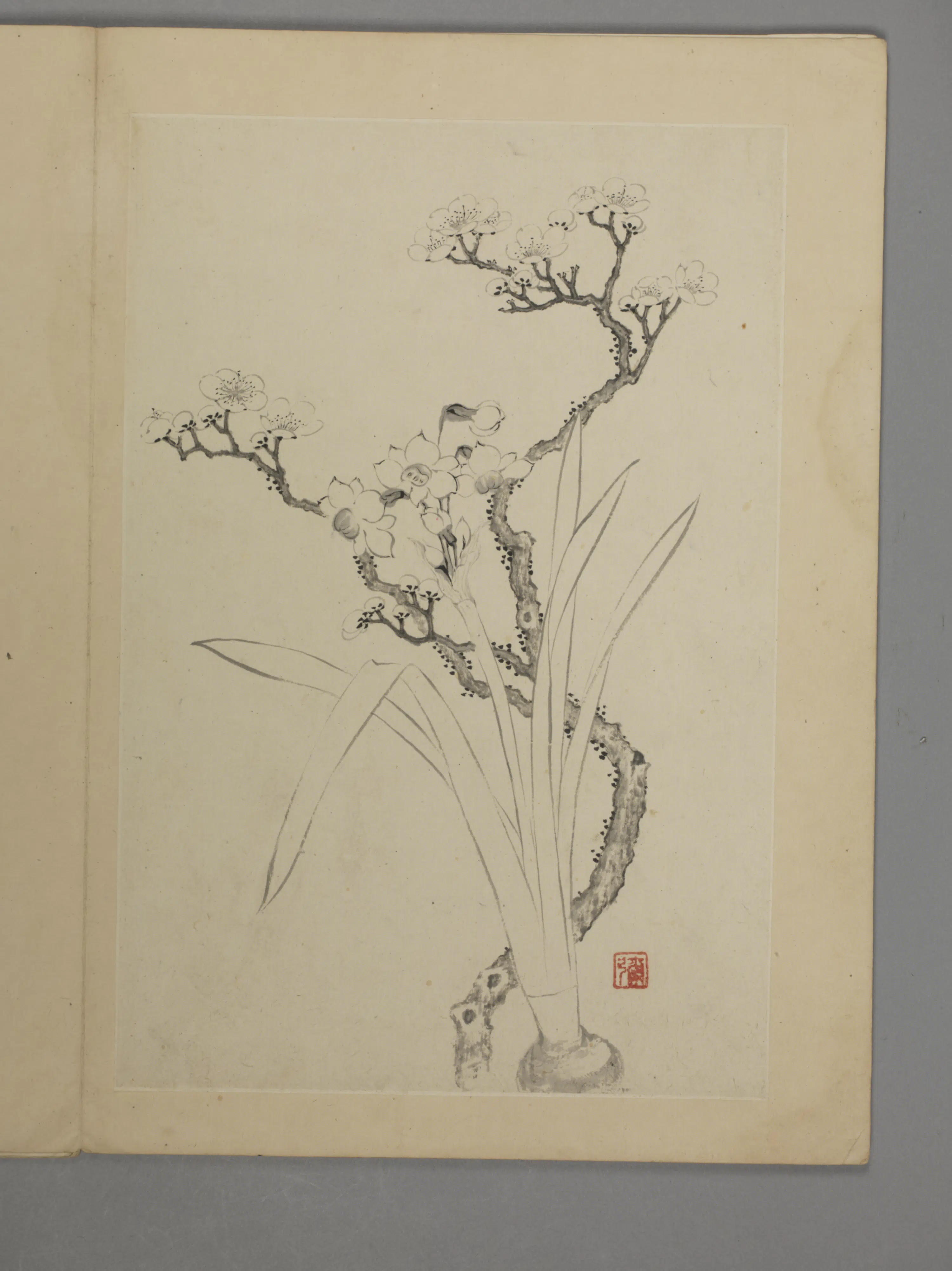 明朝【邵弥】《山水花卉册(6开)》 第4张 明朝【邵弥】《山水花卉册(6开)》 第4张