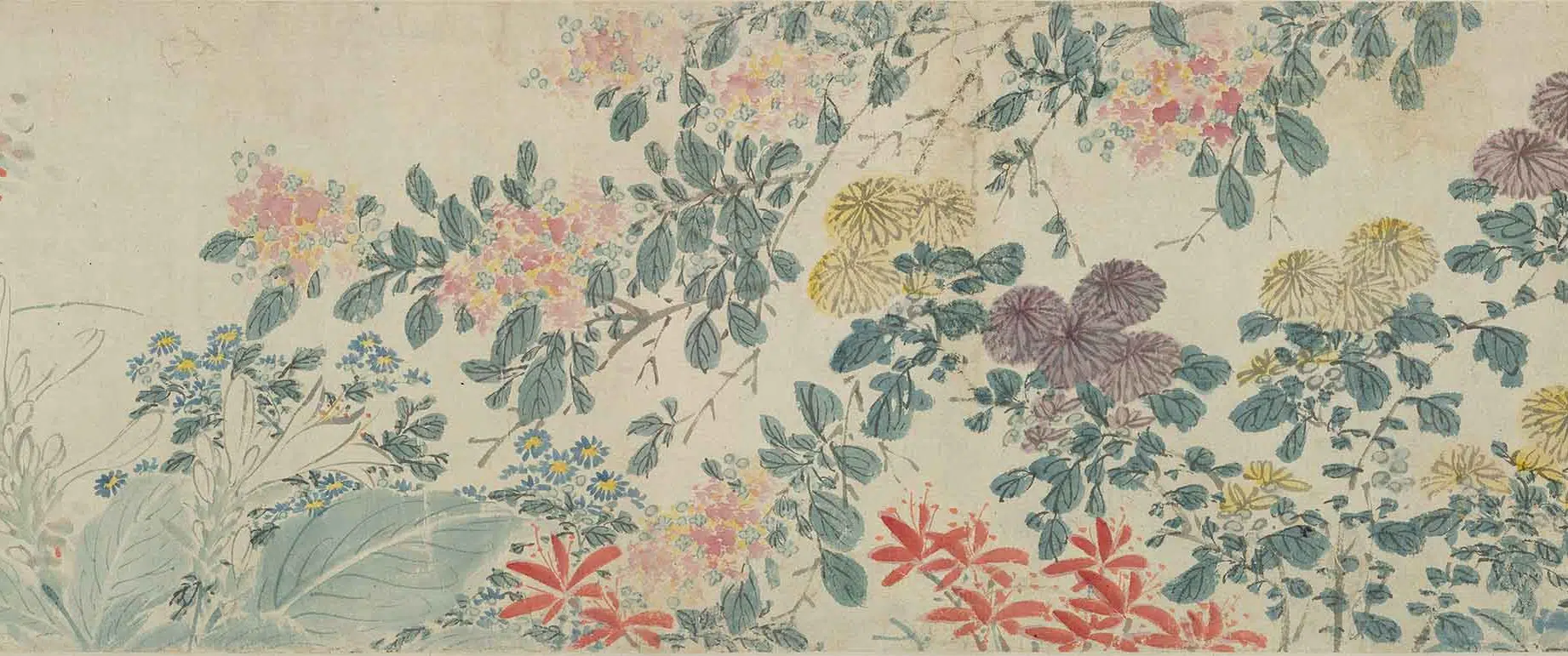 明朝【陈淳（道复）】《四季花卉卷》 第17张