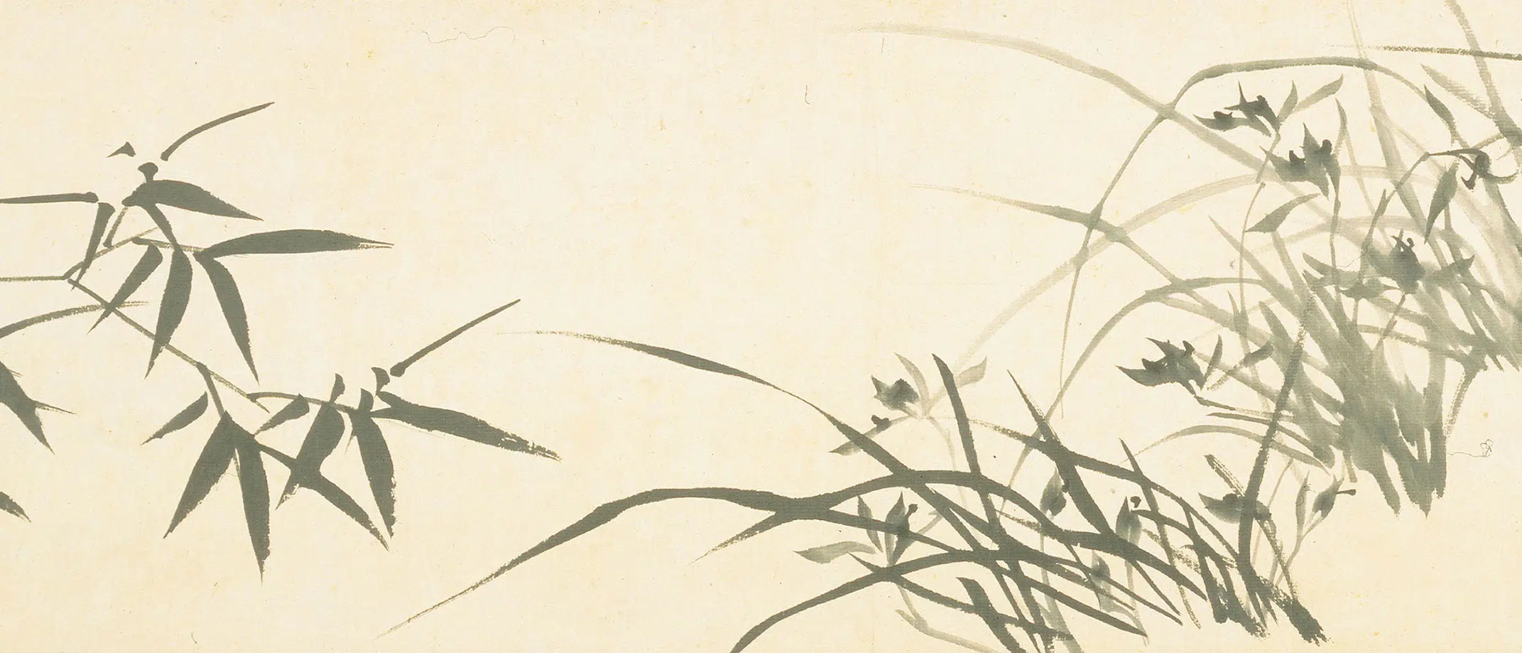 清代【郑板桥（郑燮）】《兰花竹石图卷》 第10张