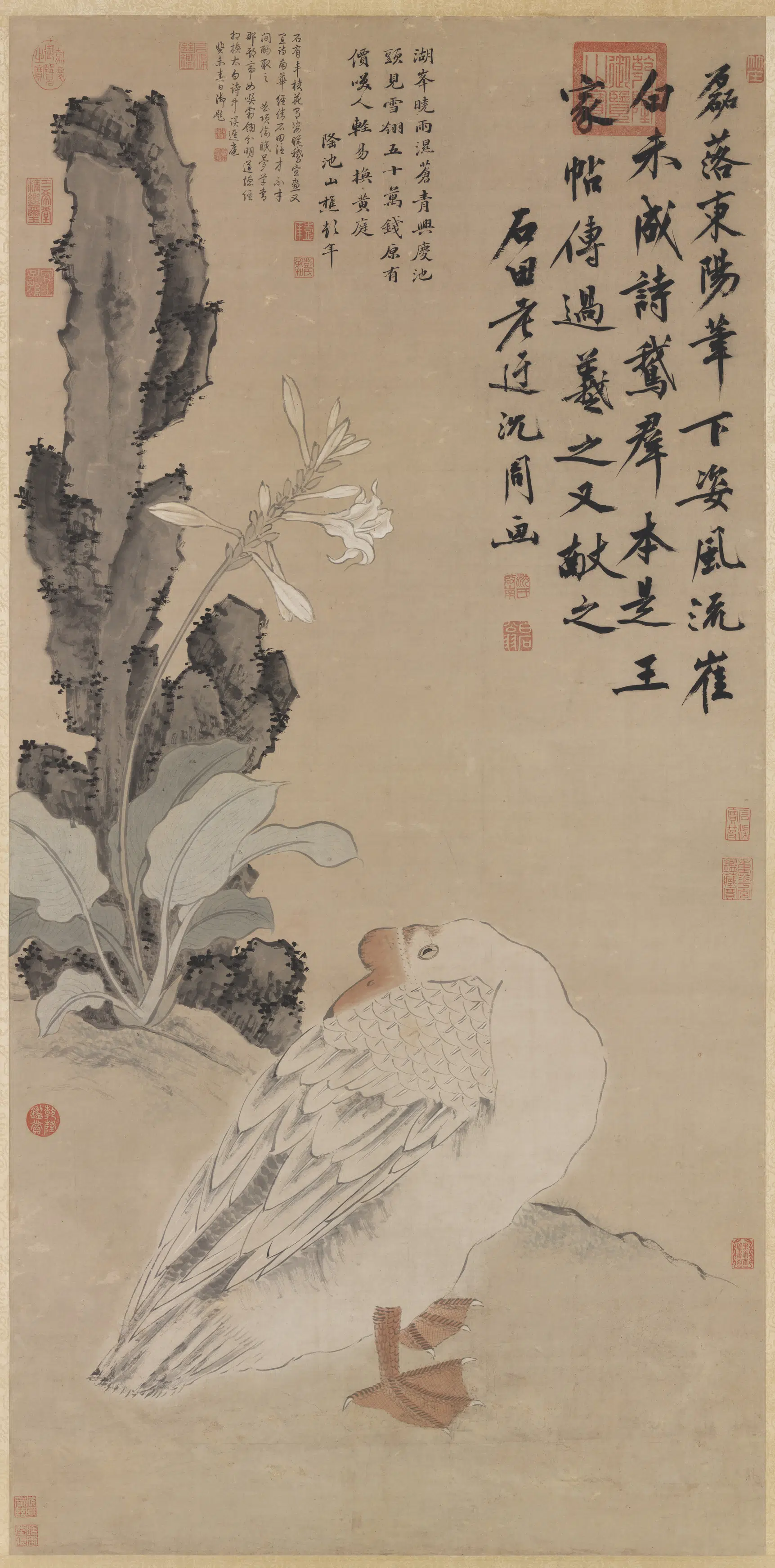 明朝【沈周】《花下睡鹅图轴》