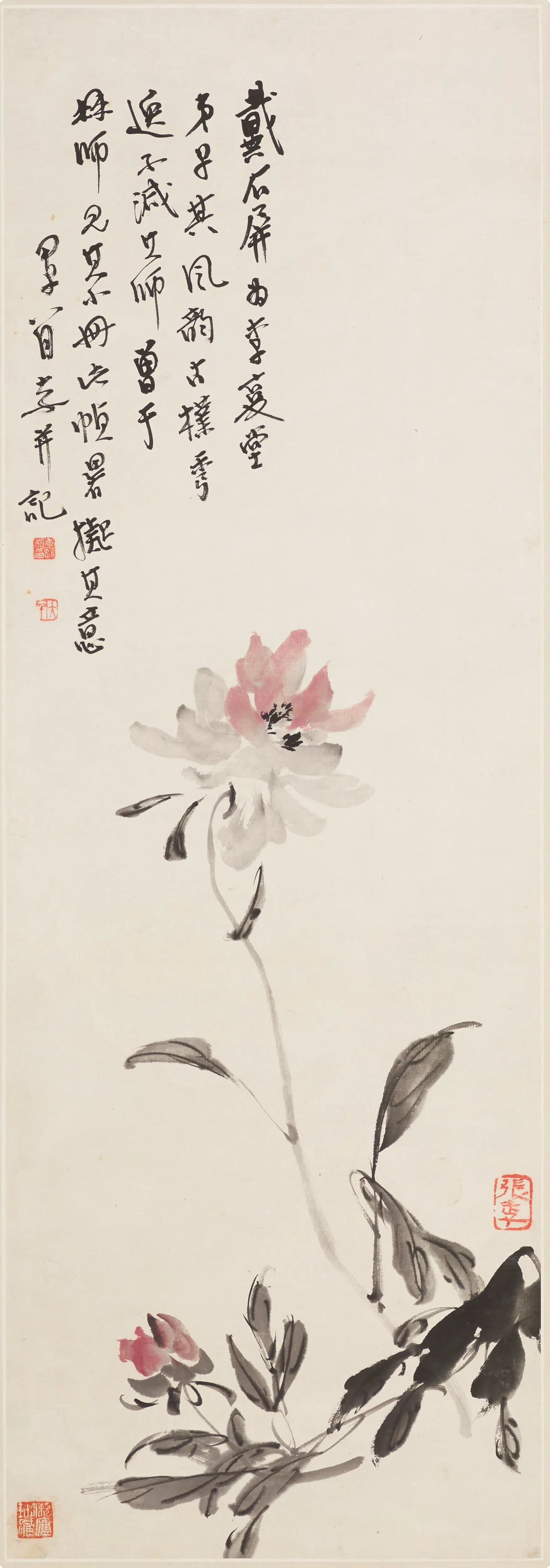 近现代【张大千】《芍药图轴-2》