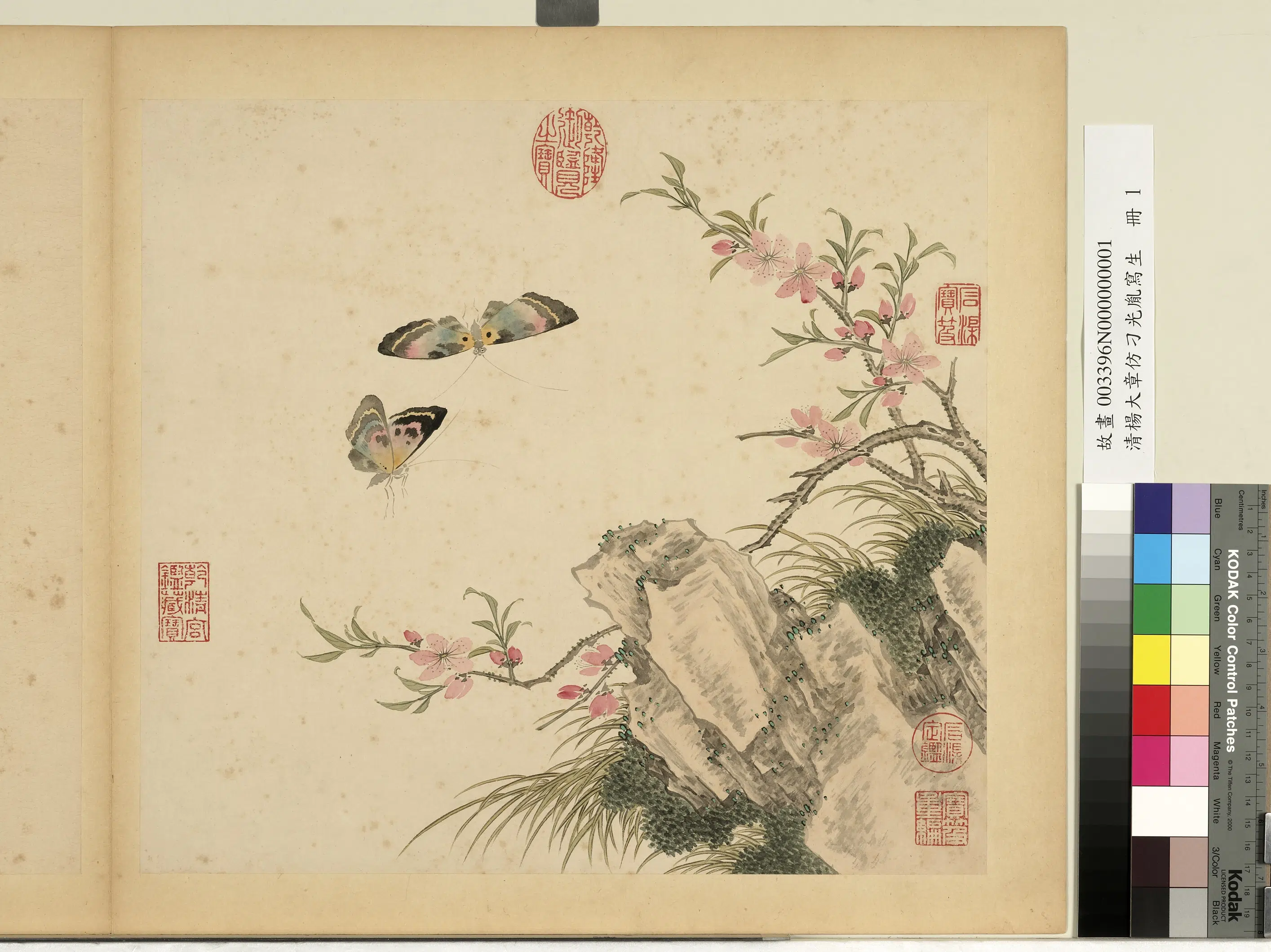 清代【杨大章】《仿刁光胤写生册-桃花双蝶》