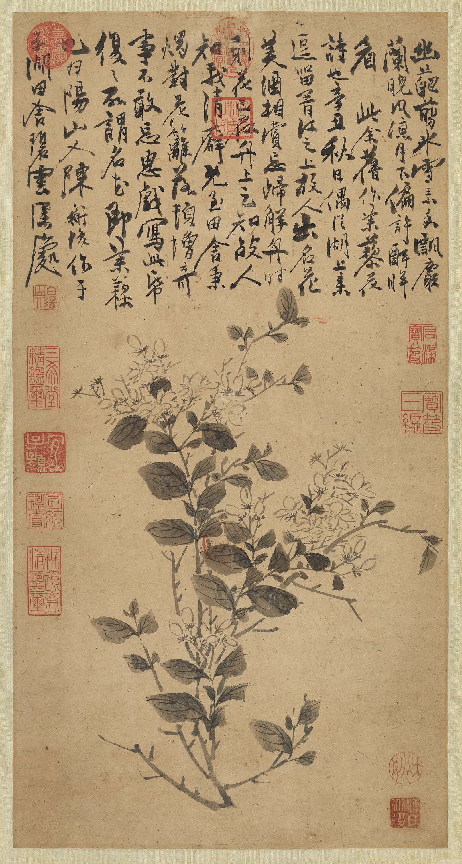 明朝【陈淳(道复)】《茉莉图轴》 第1张 明朝【陈淳(道复)】《茉莉图轴》 第1张