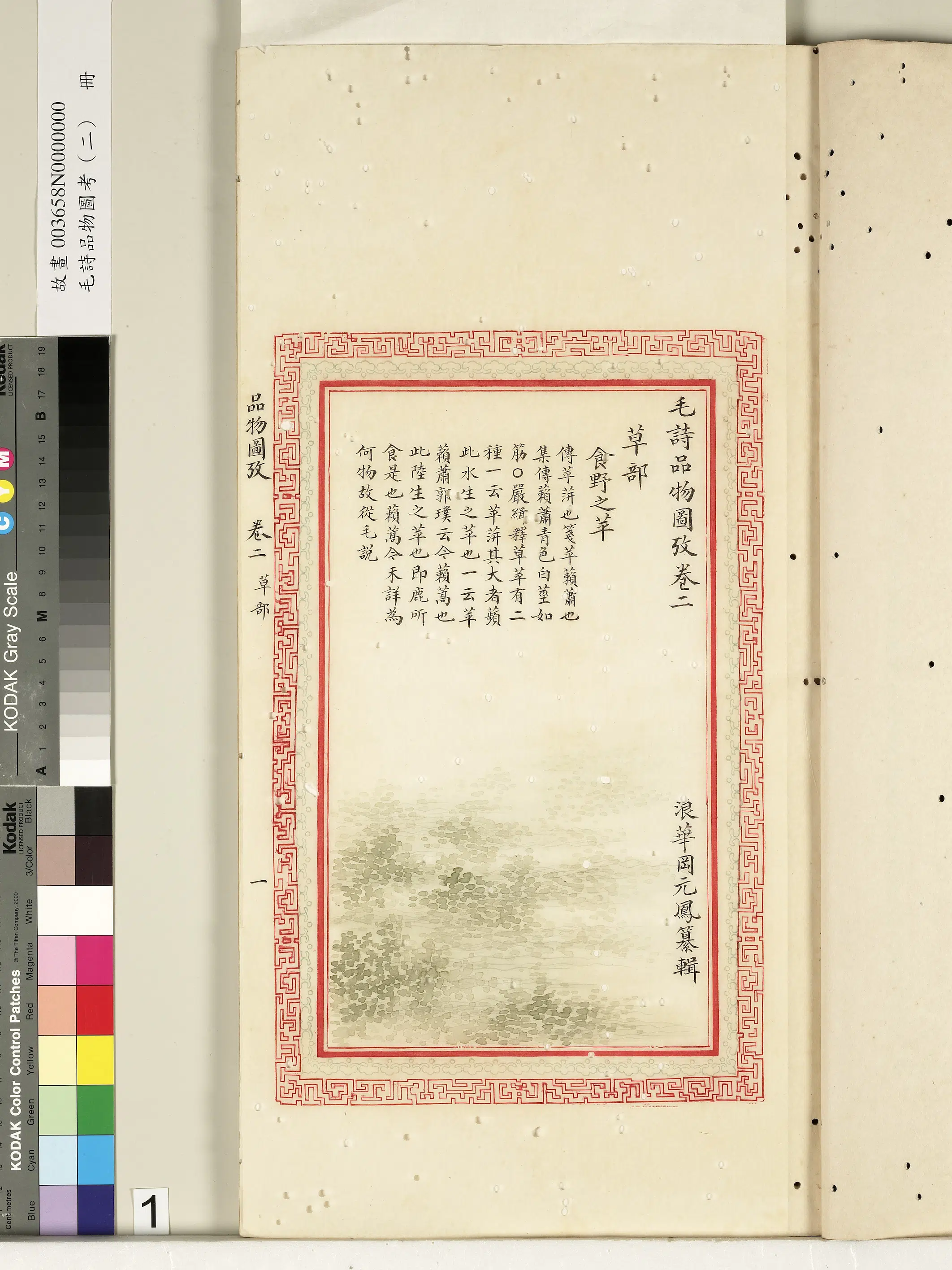 清朝【佚名】《毛诗品物图考（二）册-食野之苹-2》