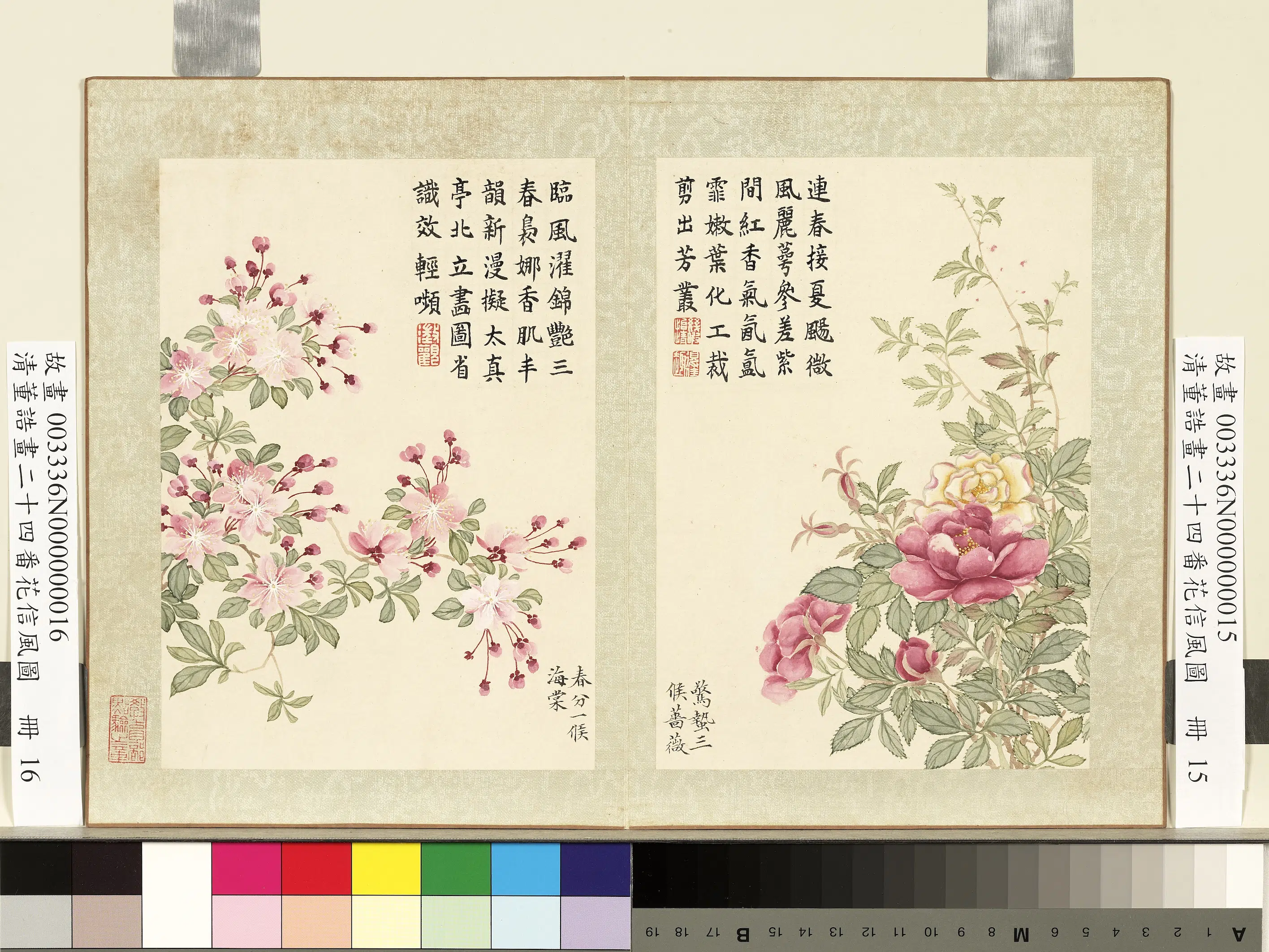 清代【董诰】《二十四番花信风图-12开》 第5张