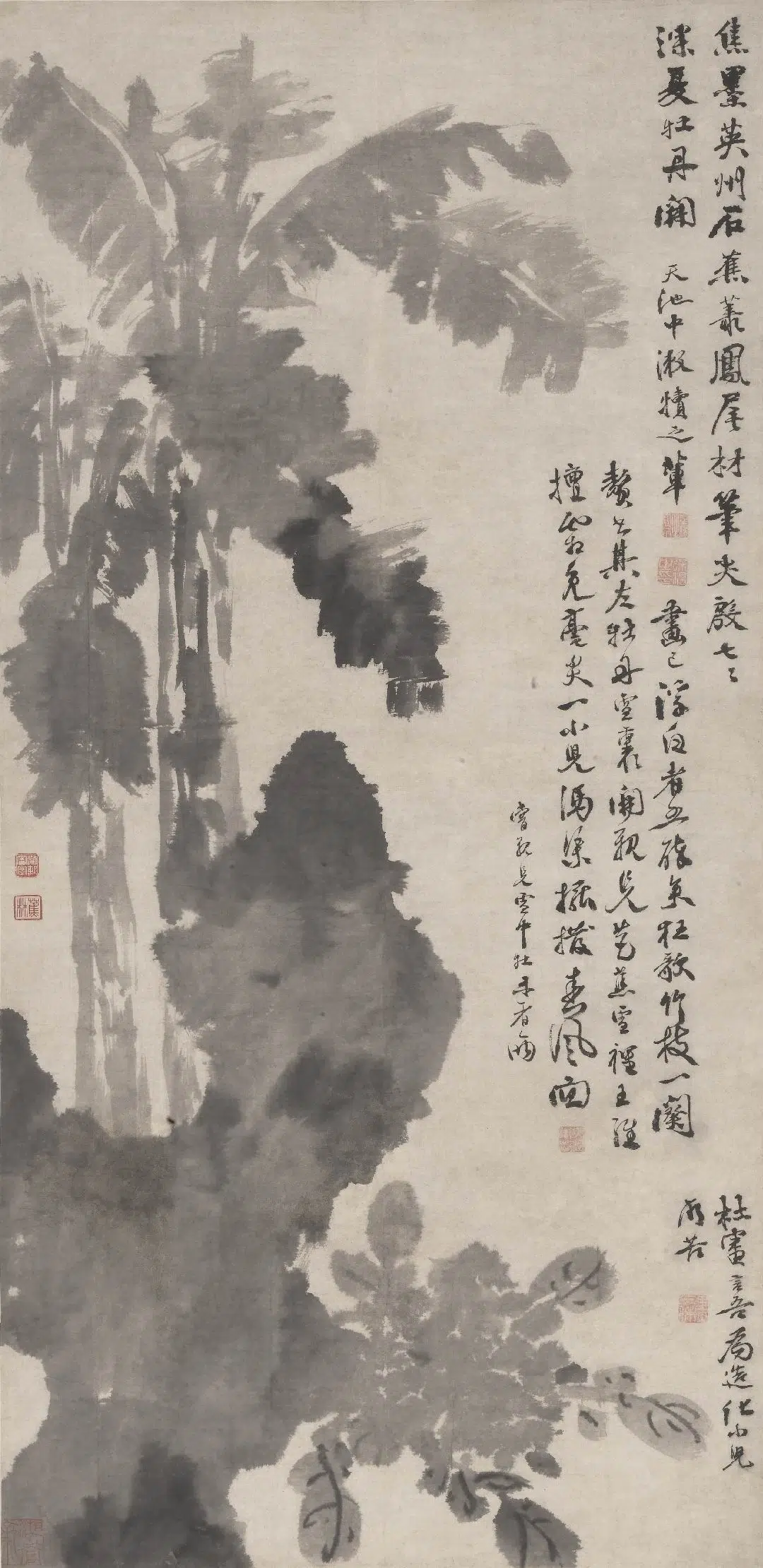 明朝【徐渭】《蕉石牡丹图轴》