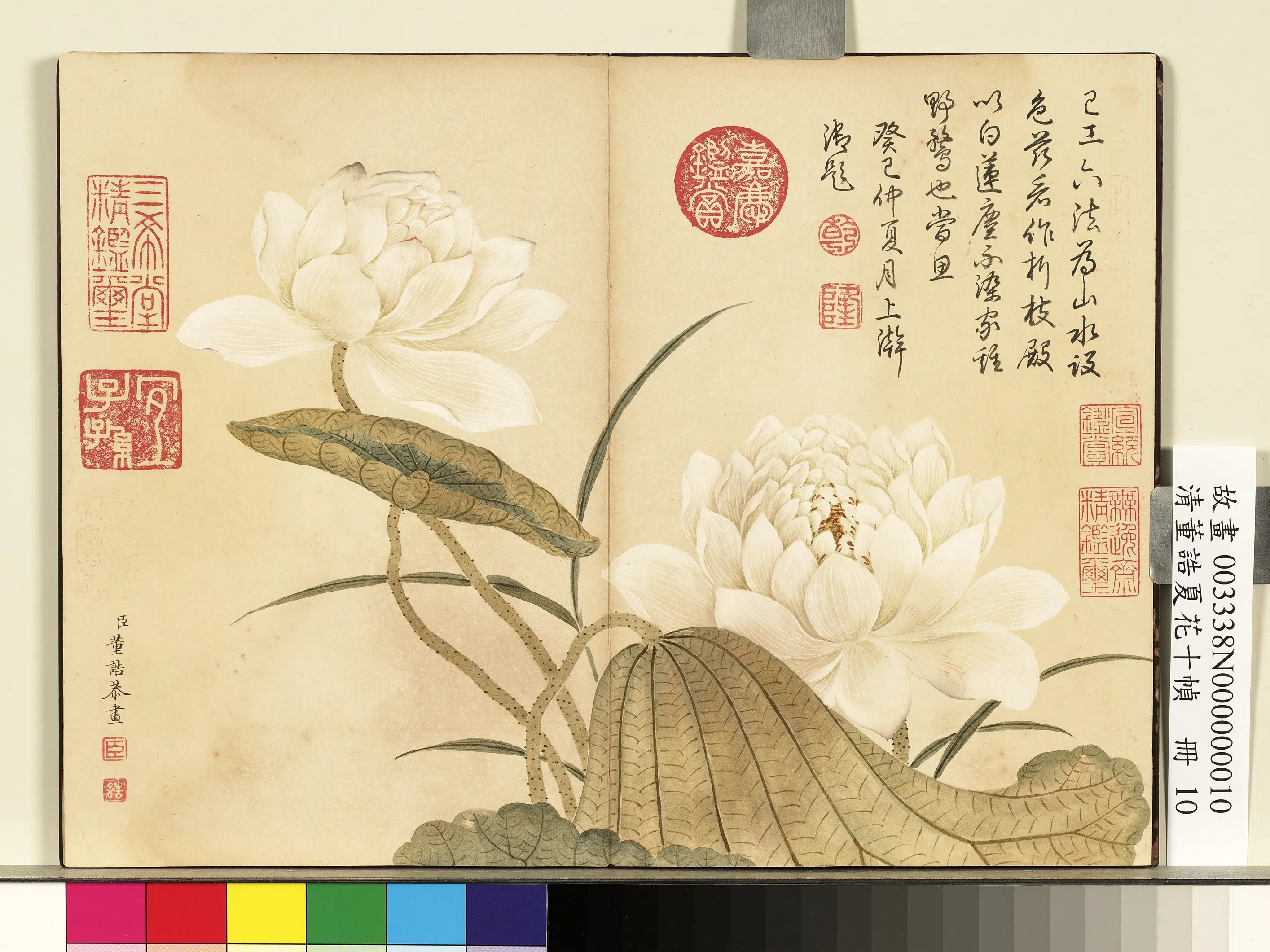 清代【董诰】《夏花十帧册-荷花》 第1张
