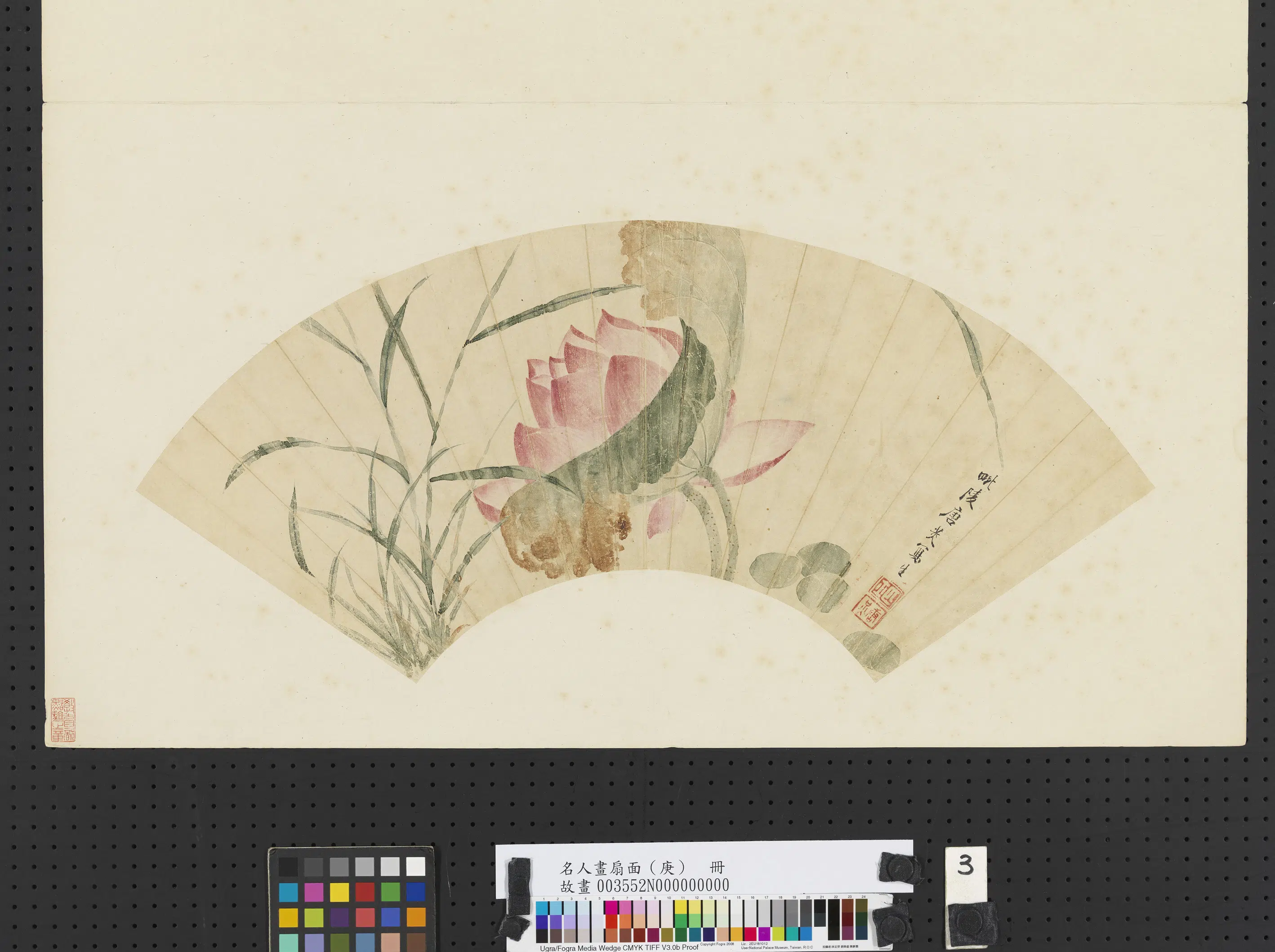 清代【唐炗（苂）】《名人画扇面（庚）册-莲花写生》