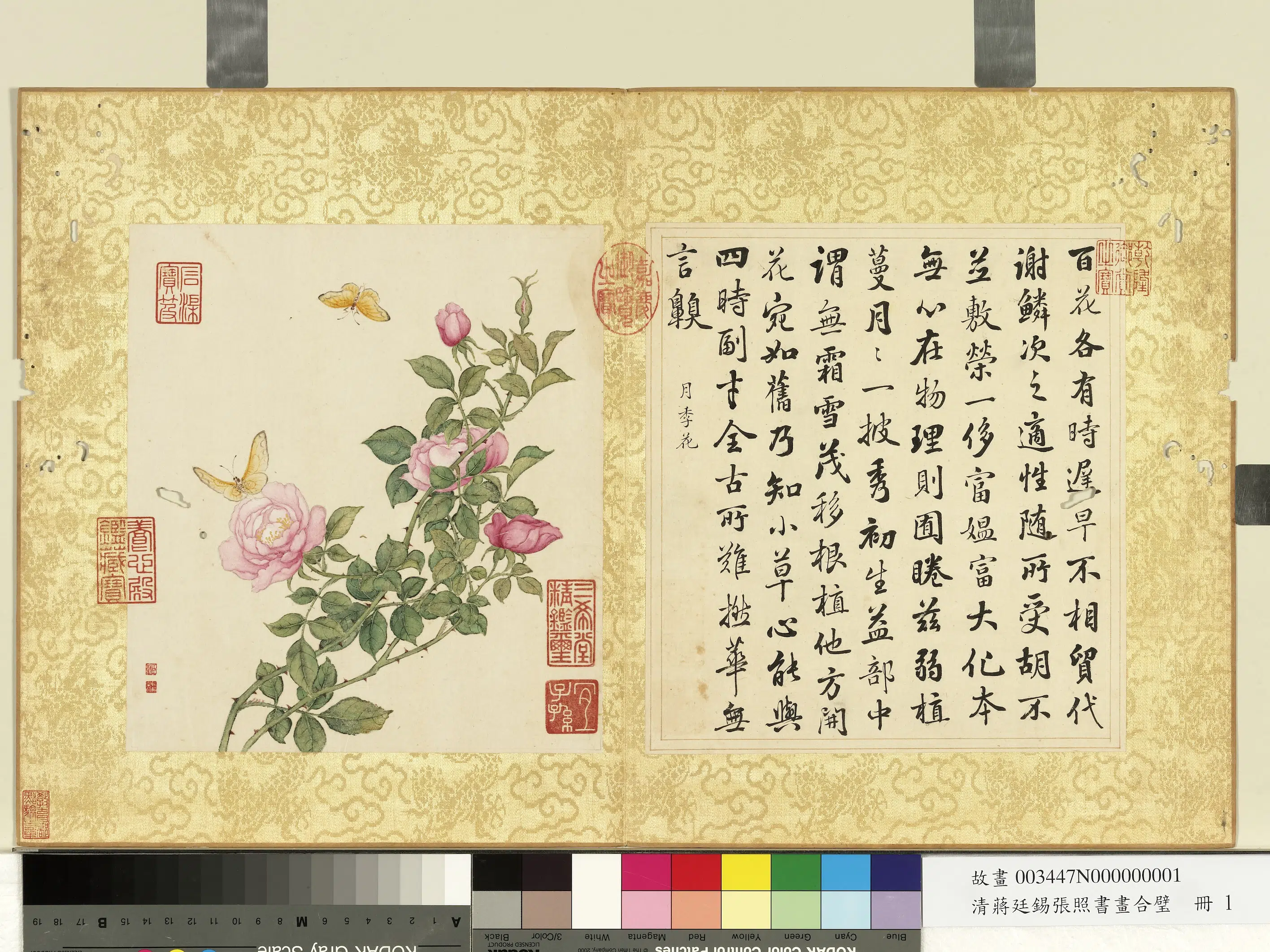 清代【张照蒋廷锡】《蒋廷锡张照书画合璧册》 第2张