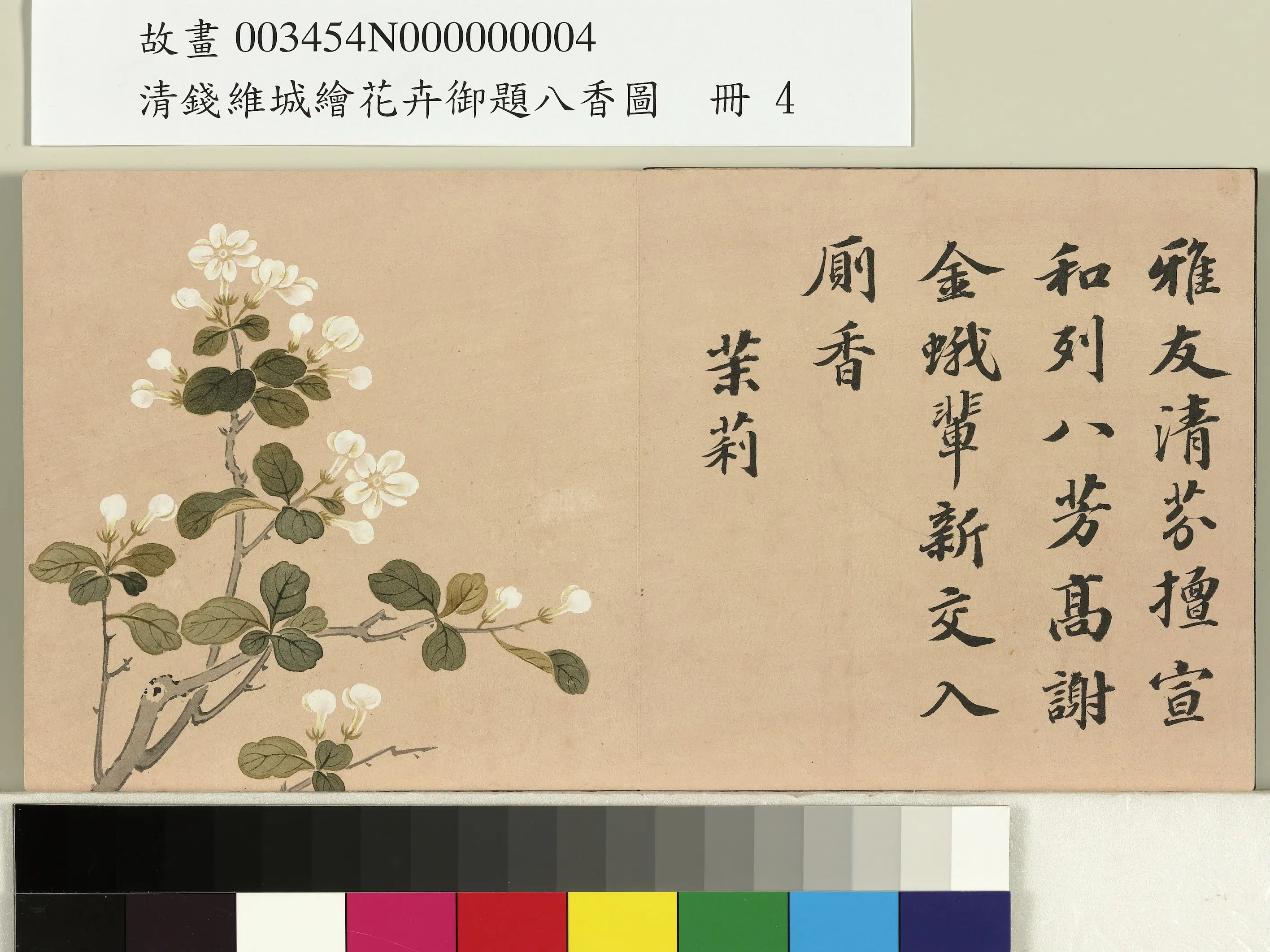 清代【钱维城】《绘花卉御题八香图册-茉莉》