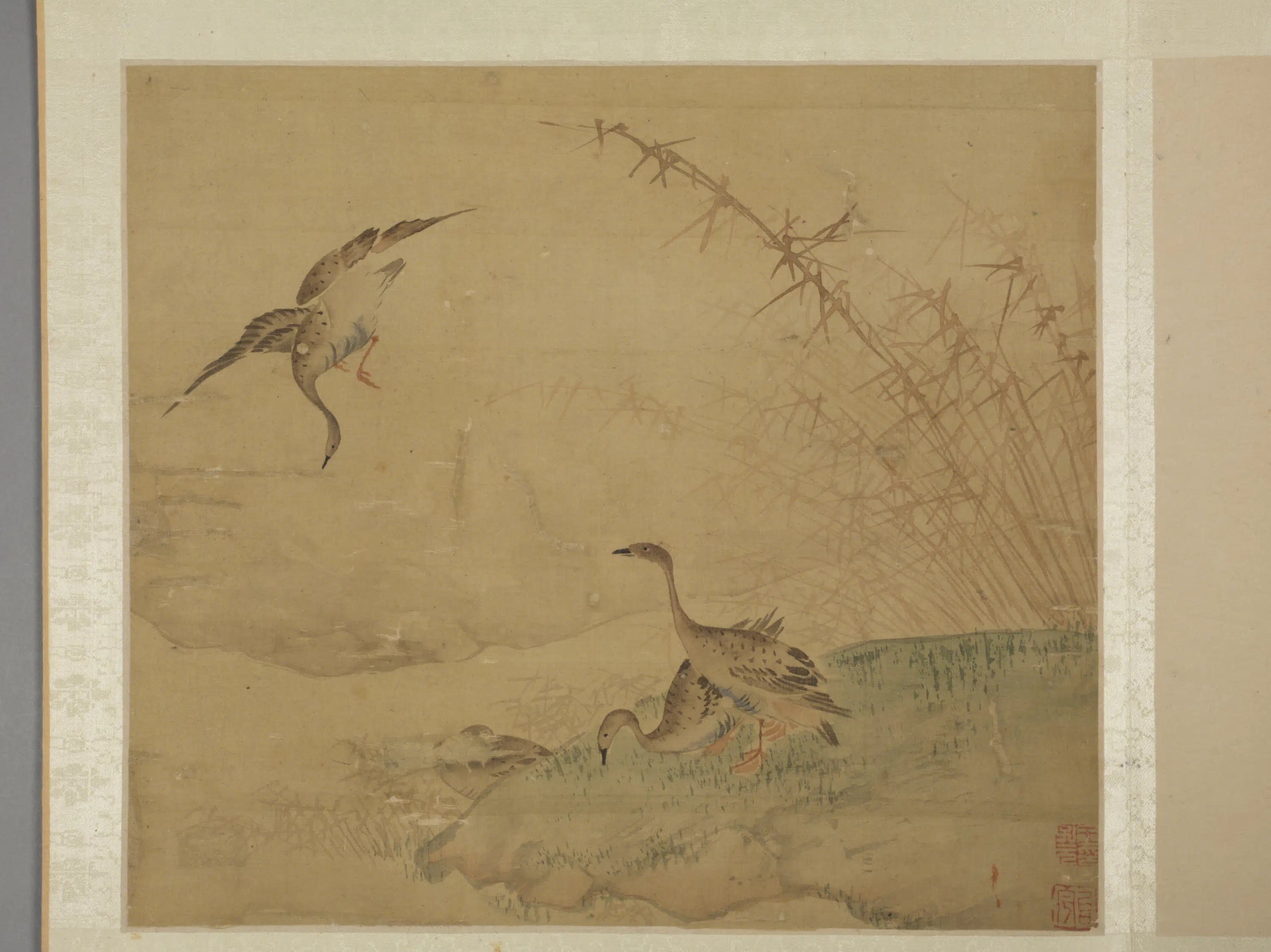 明朝【王子元】《花鸟图册》 第7张