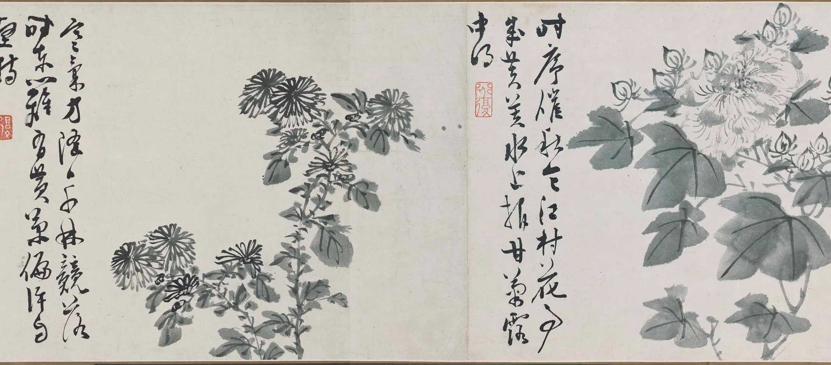 明朝【陈淳(道复)】《墨花十二种图卷》 第4张 明朝【陈淳(道复)】《墨花十二种图卷》 第4张