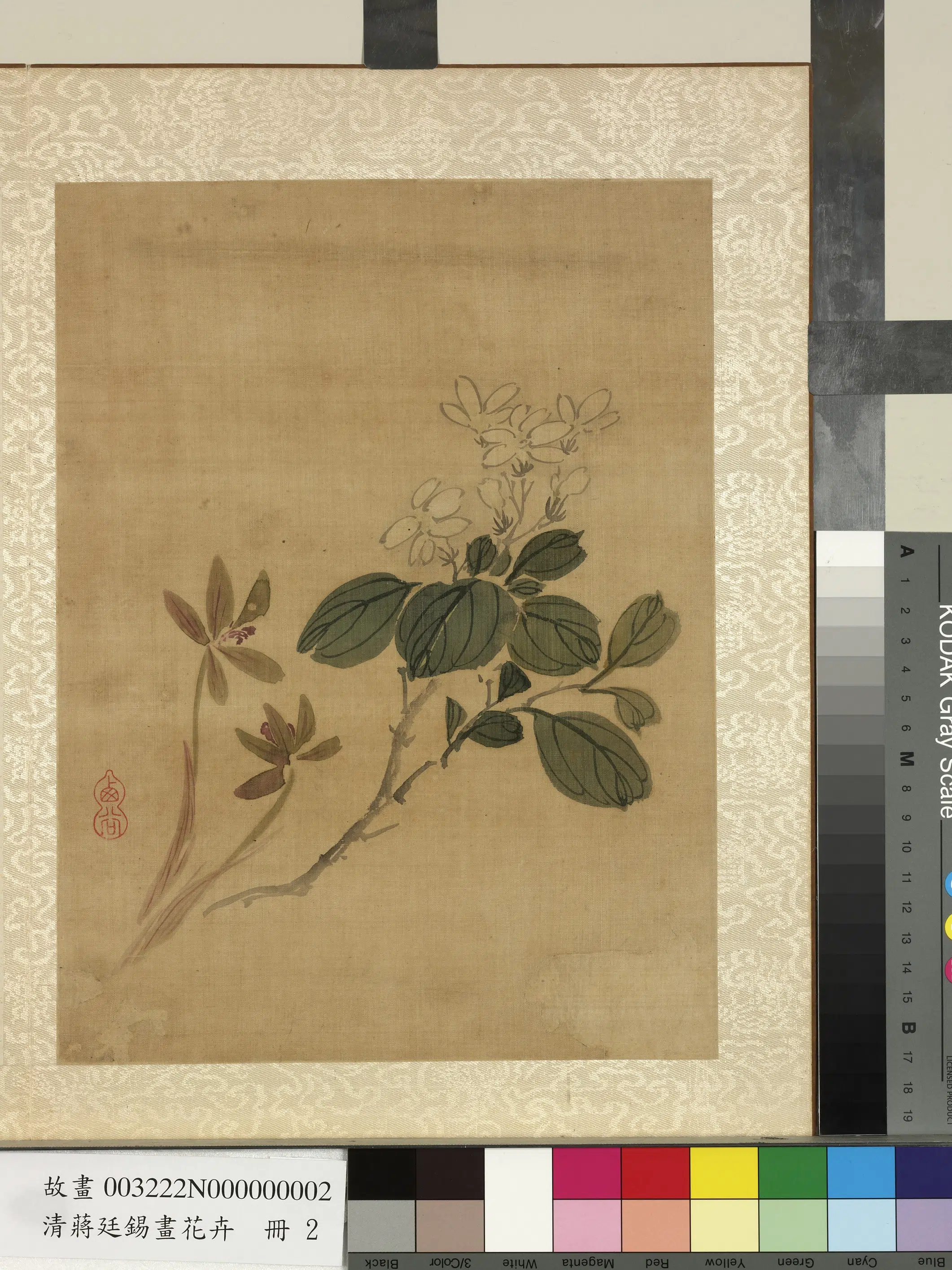 清代【蒋廷锡】《画花卉册》