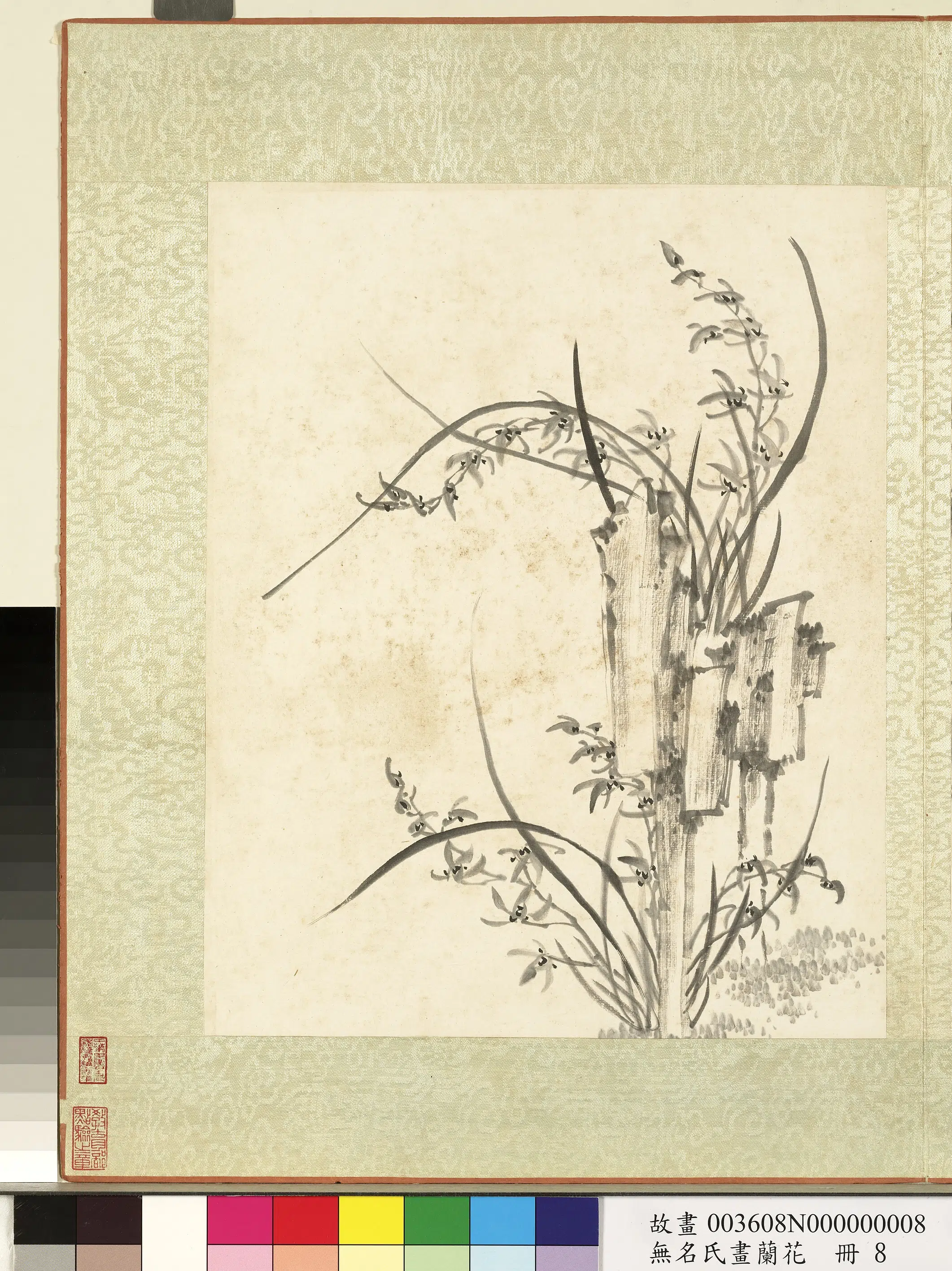 《无名氏画兰花册-兰花（十六）》