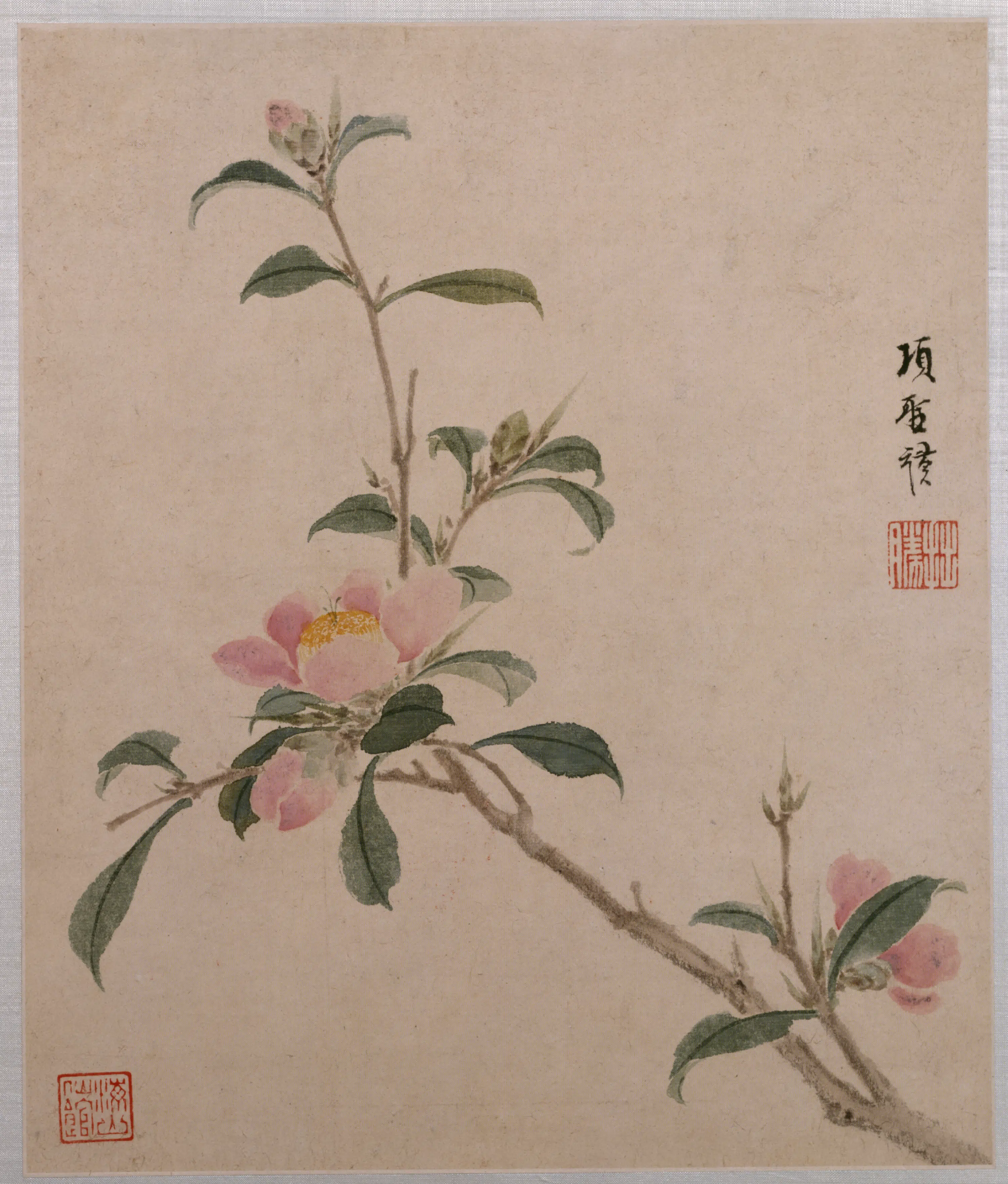 明朝【项圣谟】《花卉草虫册（8开）》 第7张