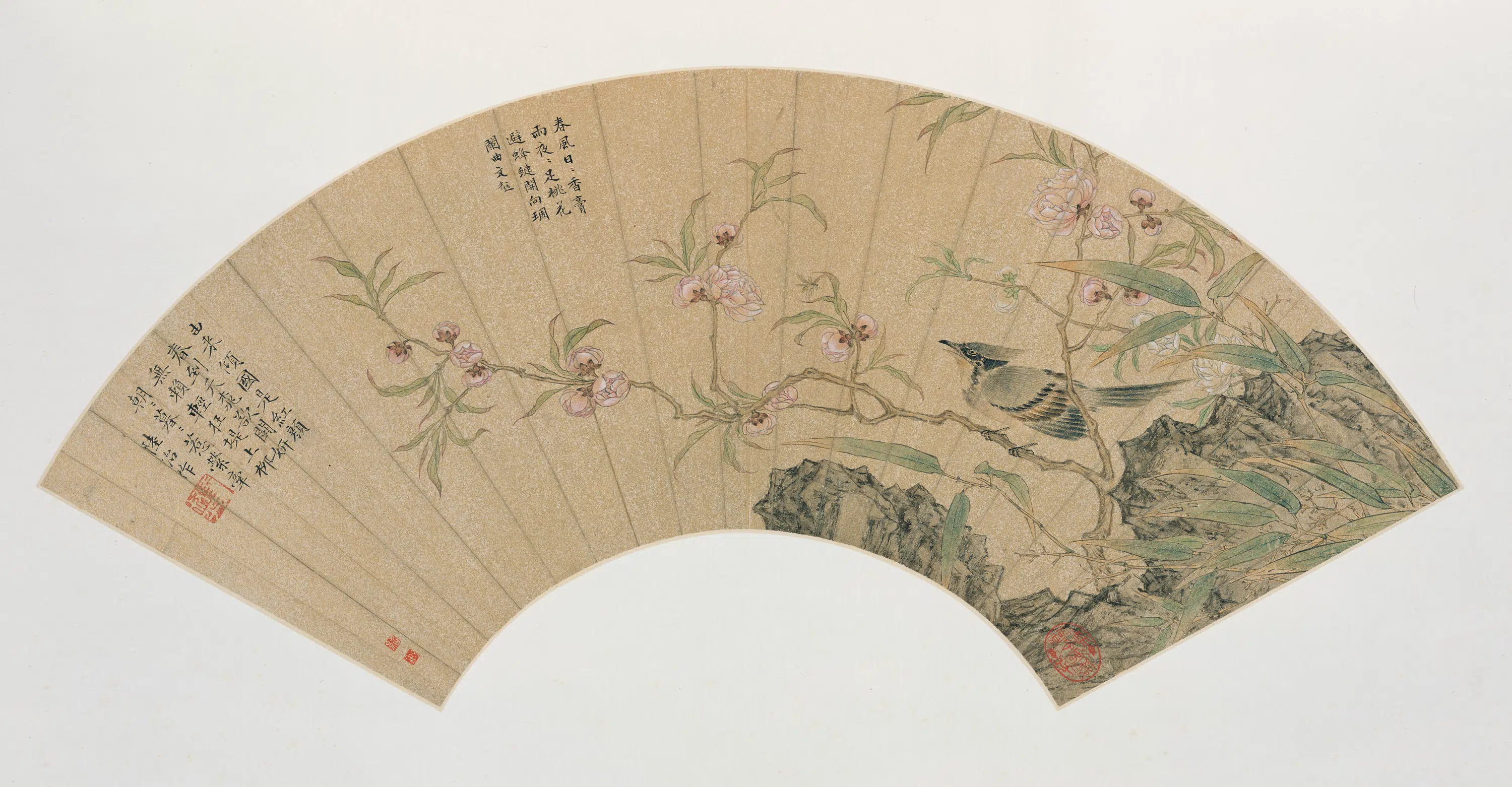 明朝【陆治】《花鸟扇册》