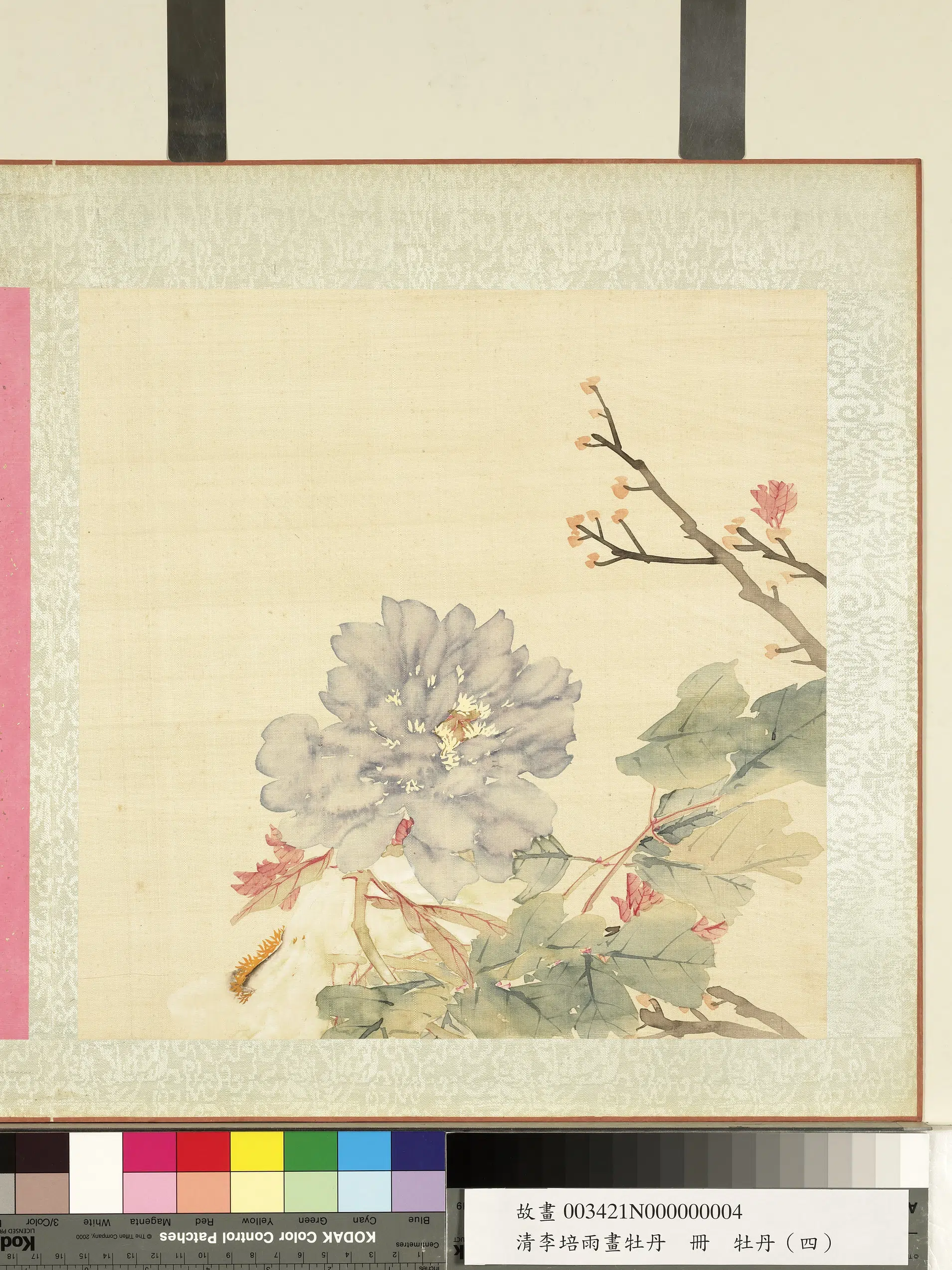 清代【李培雨】《画牡丹册-牡丹(四)》 第1张 清代【李培雨】《画牡丹册-牡丹(四)》 第1张