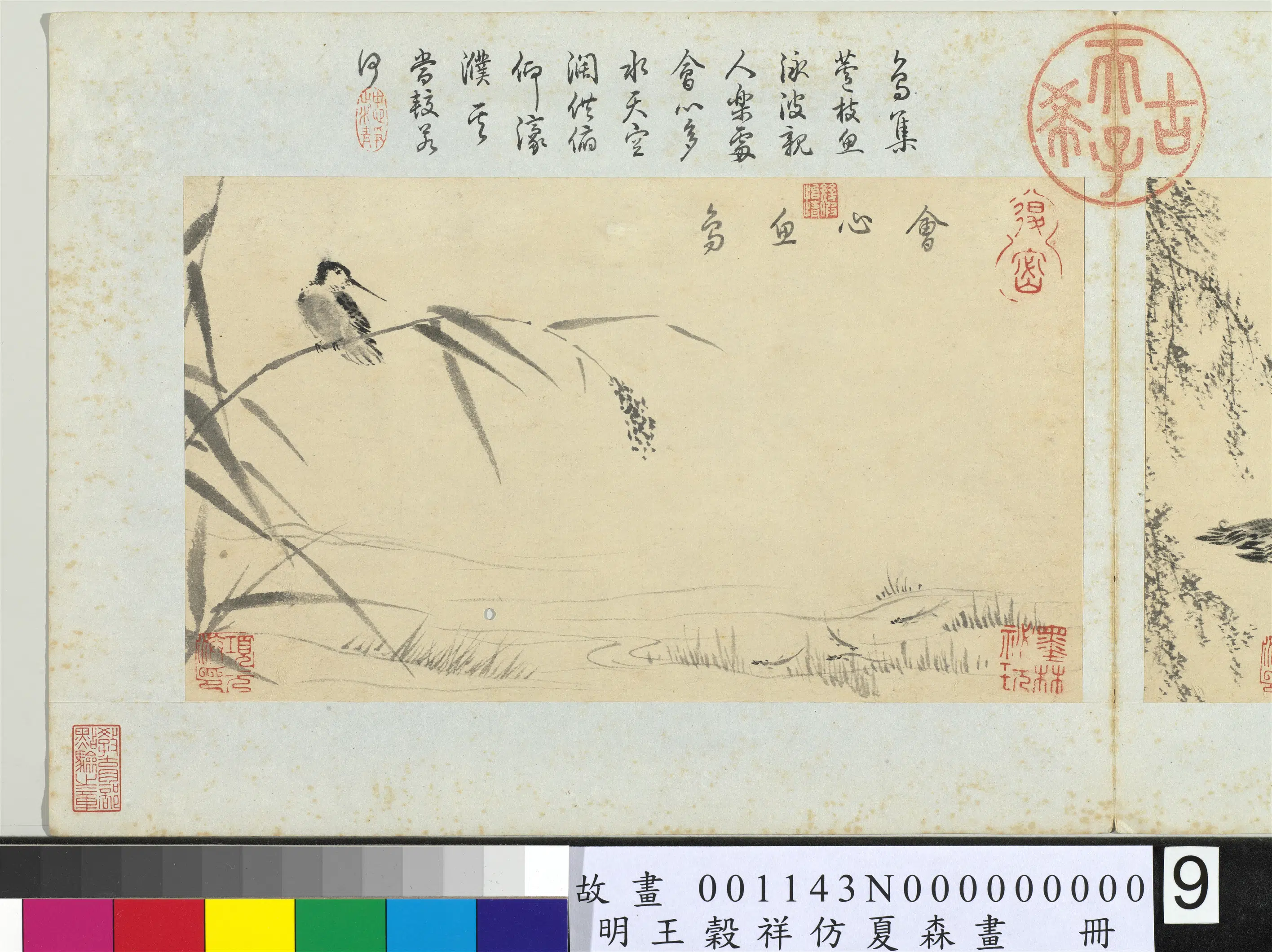 明朝【王谷祥（王穀祥）】《仿夏森画册-会心鱼鸟》